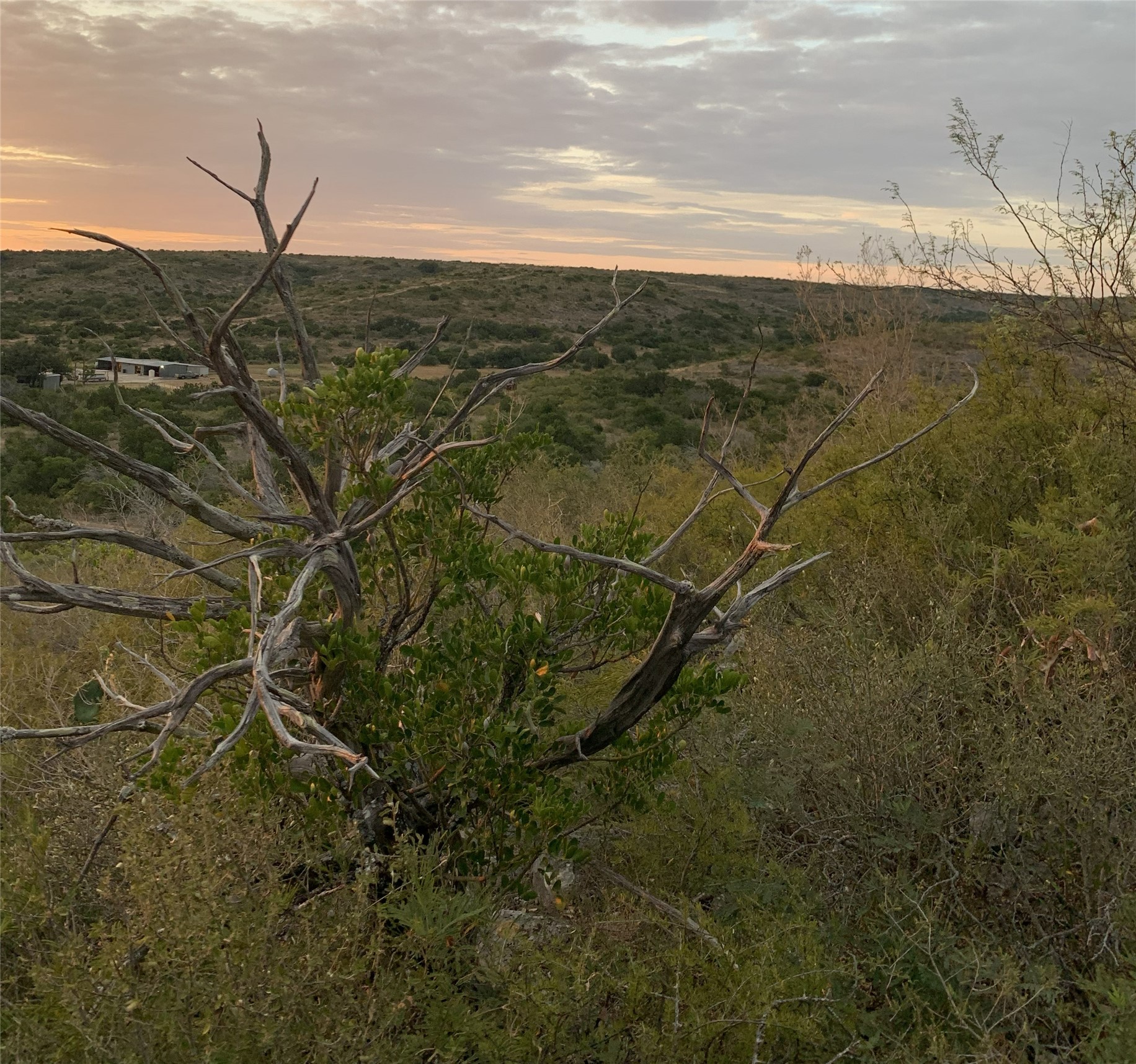 main property photo 36