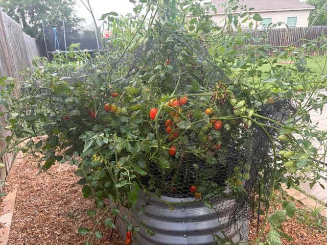 main property photo 33