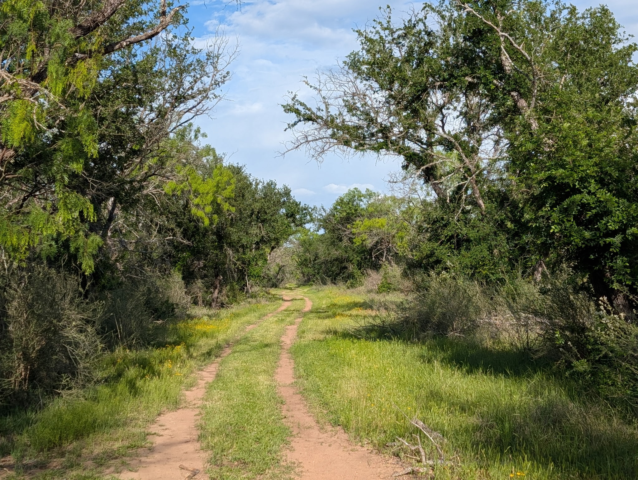 main property photo 12