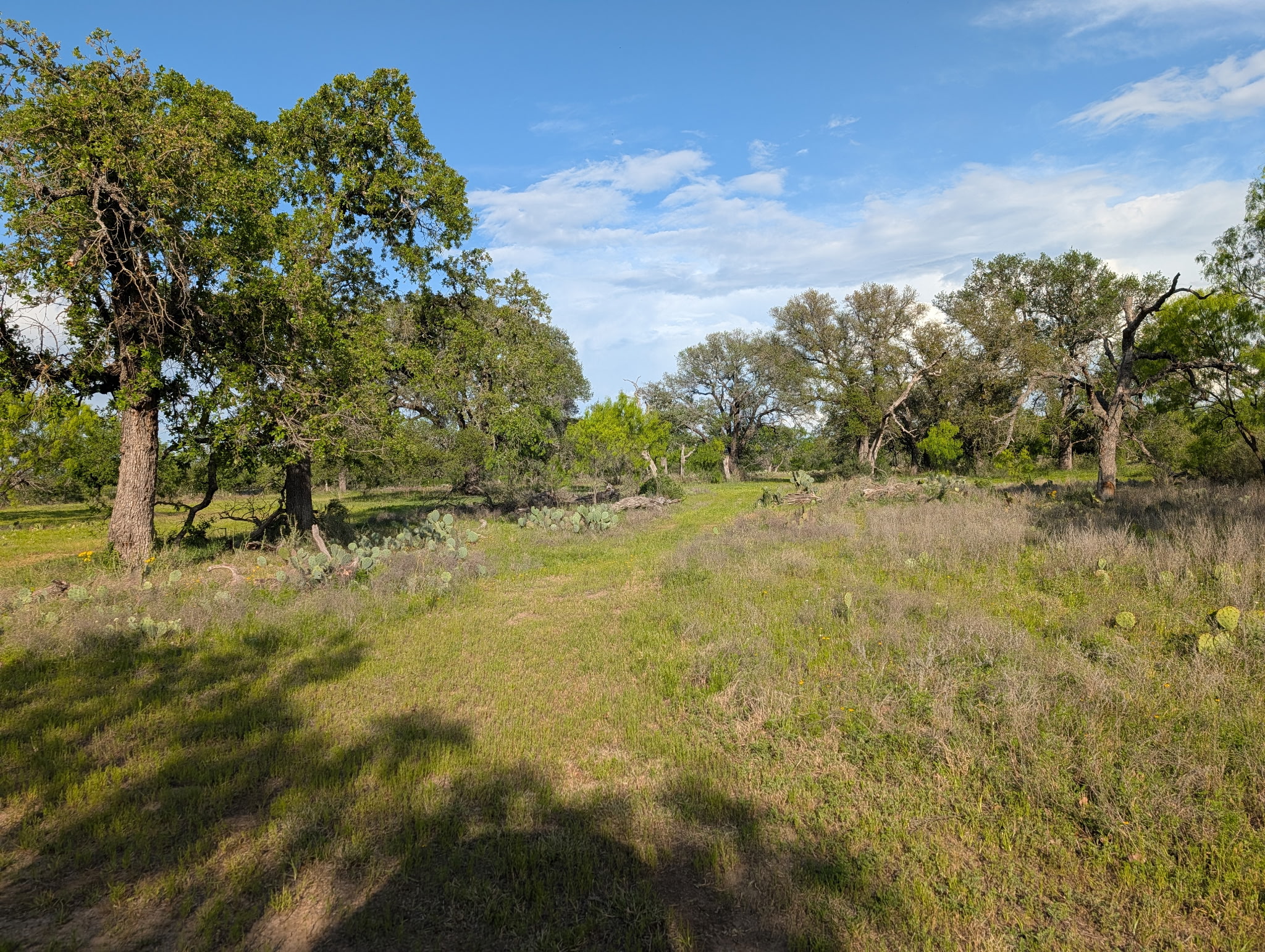 main property photo 13