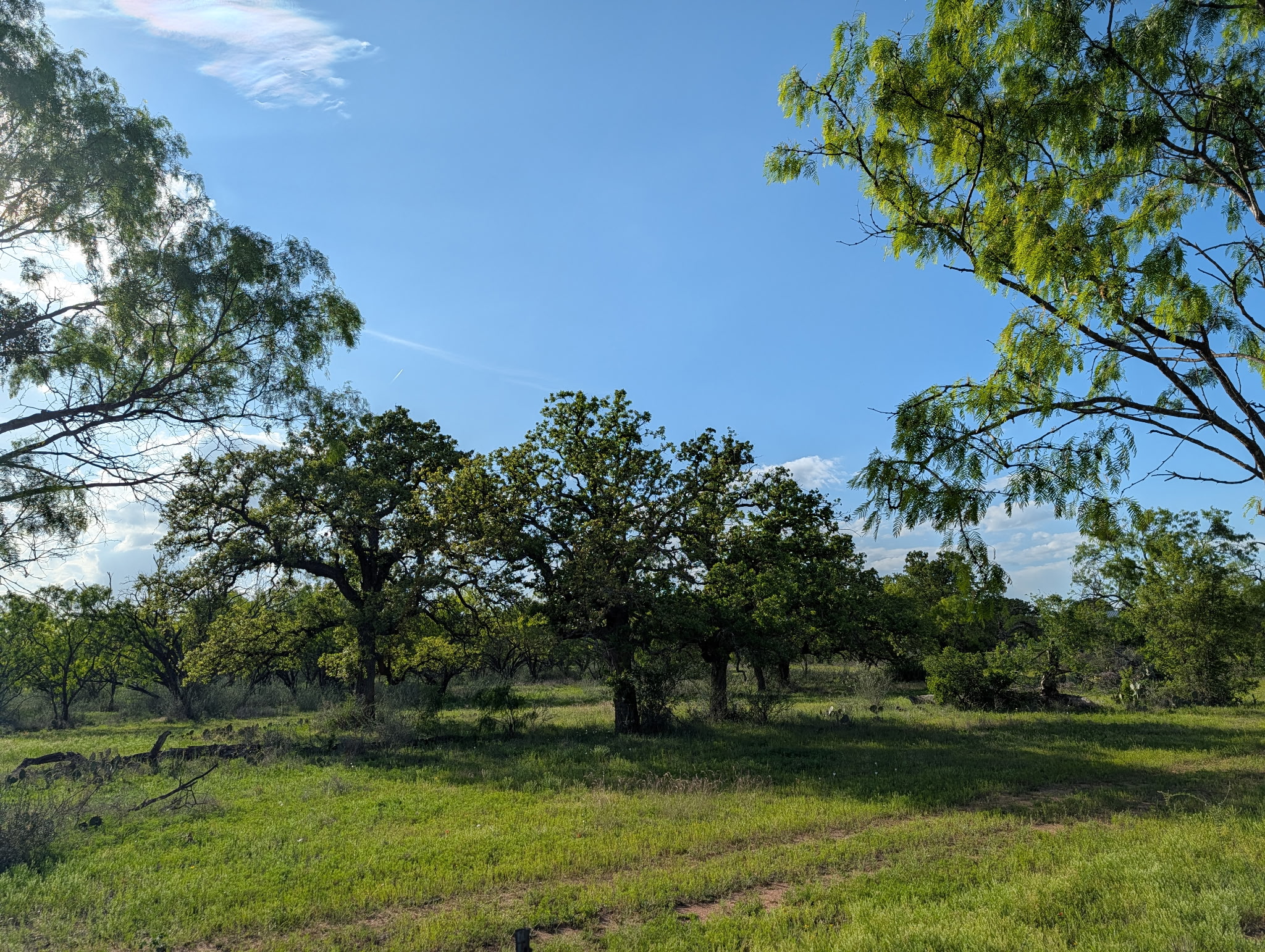main property photo 14