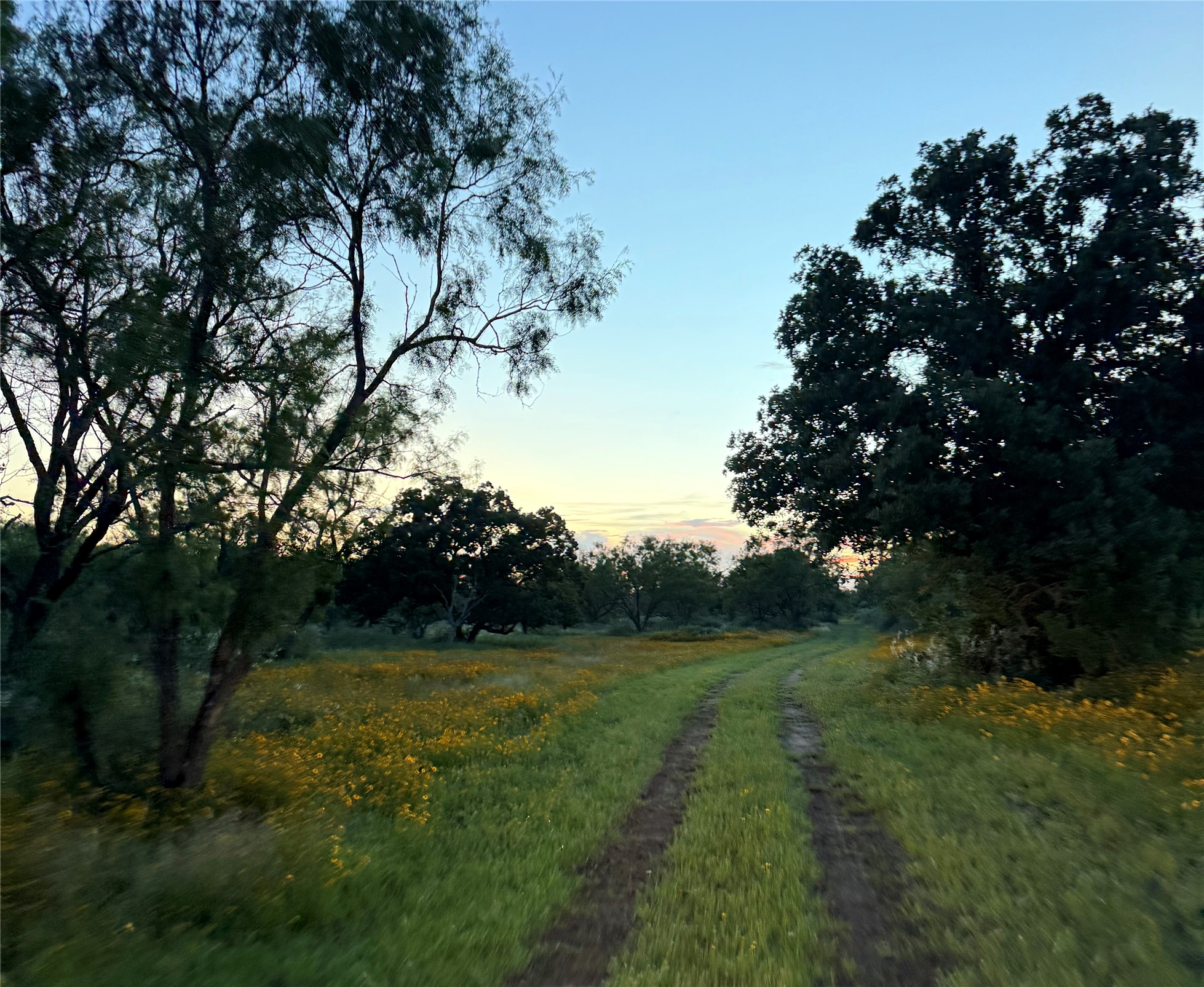 main property photo 16