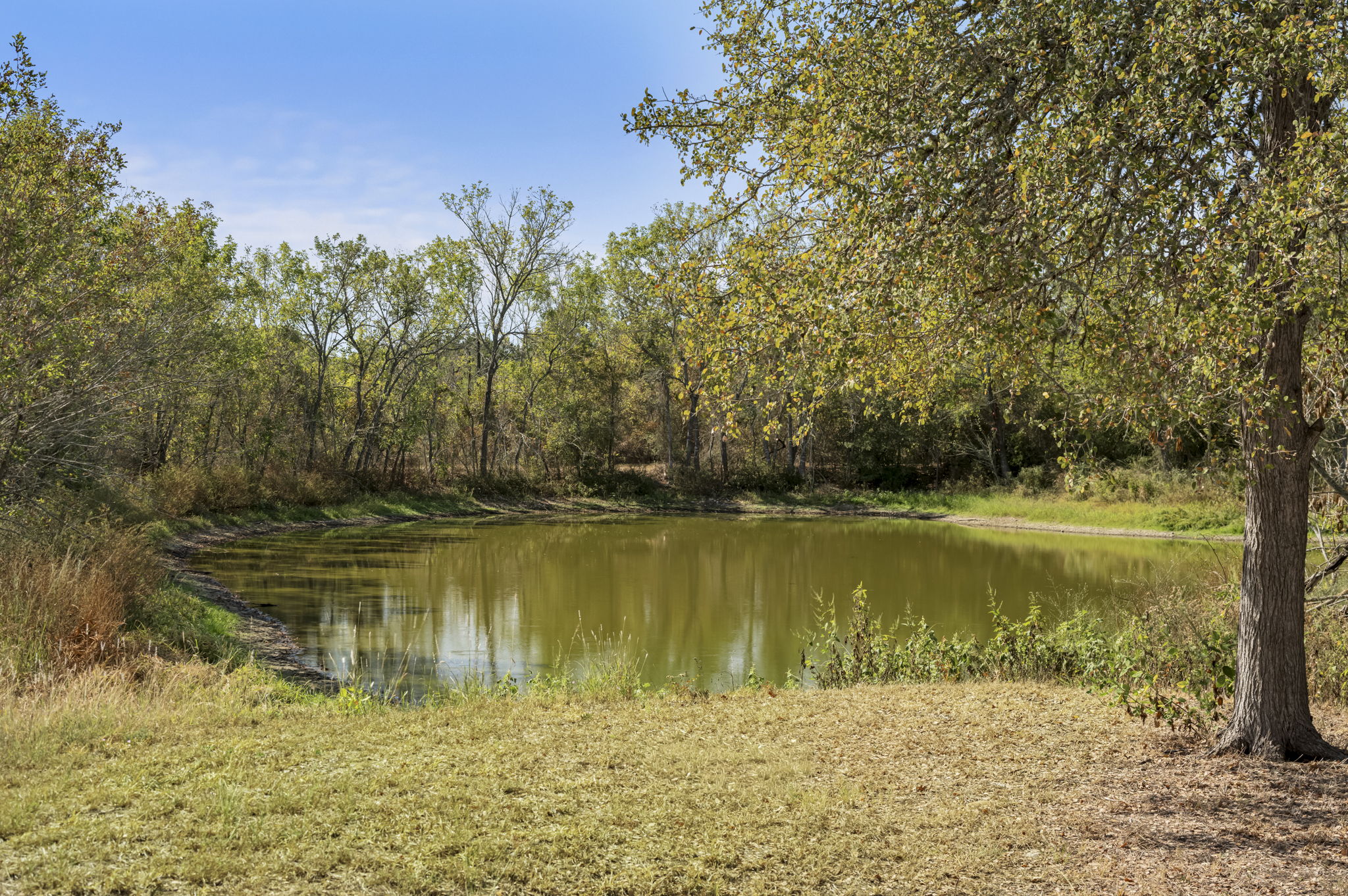main property photo 29