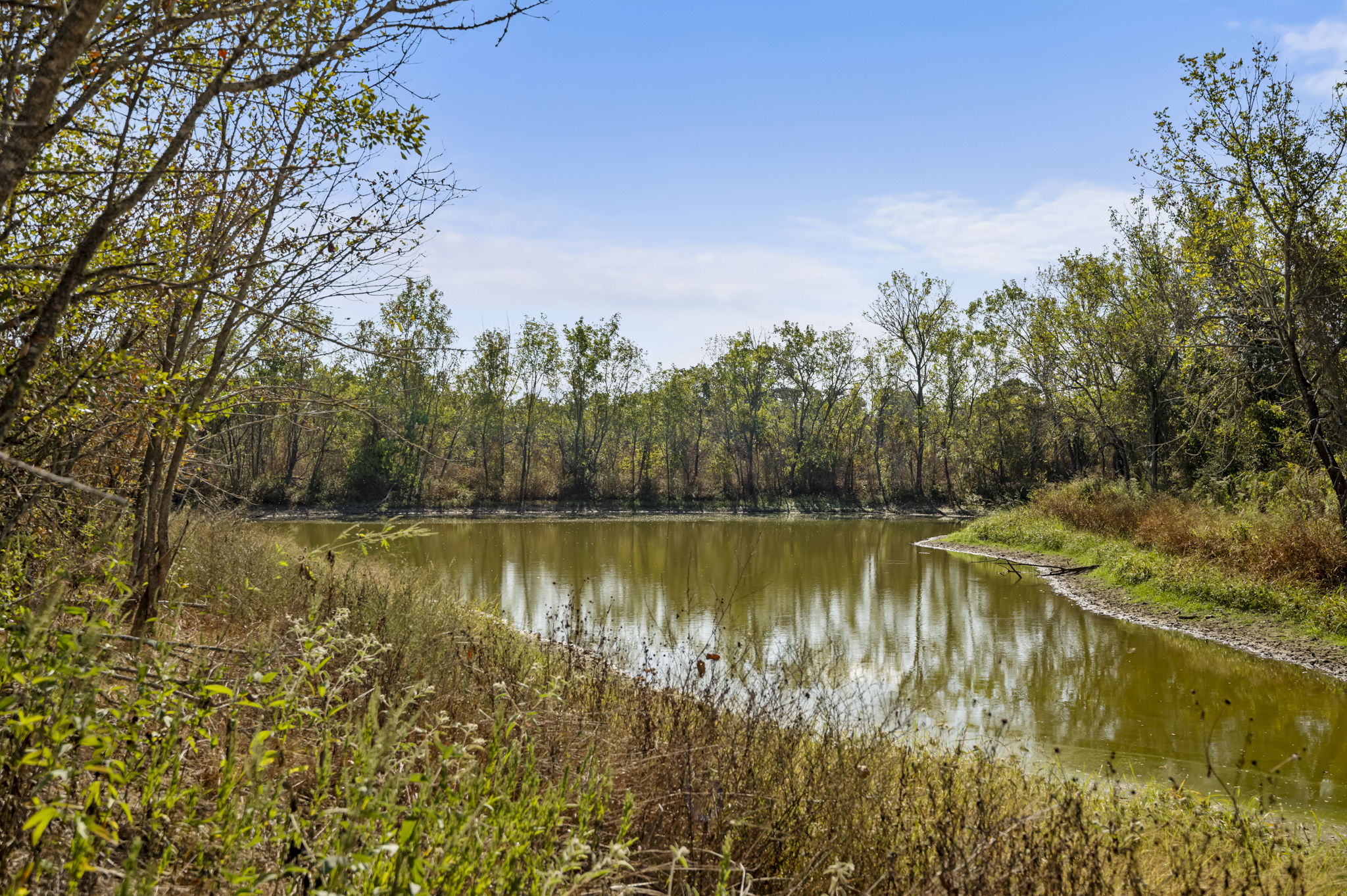main property photo 39