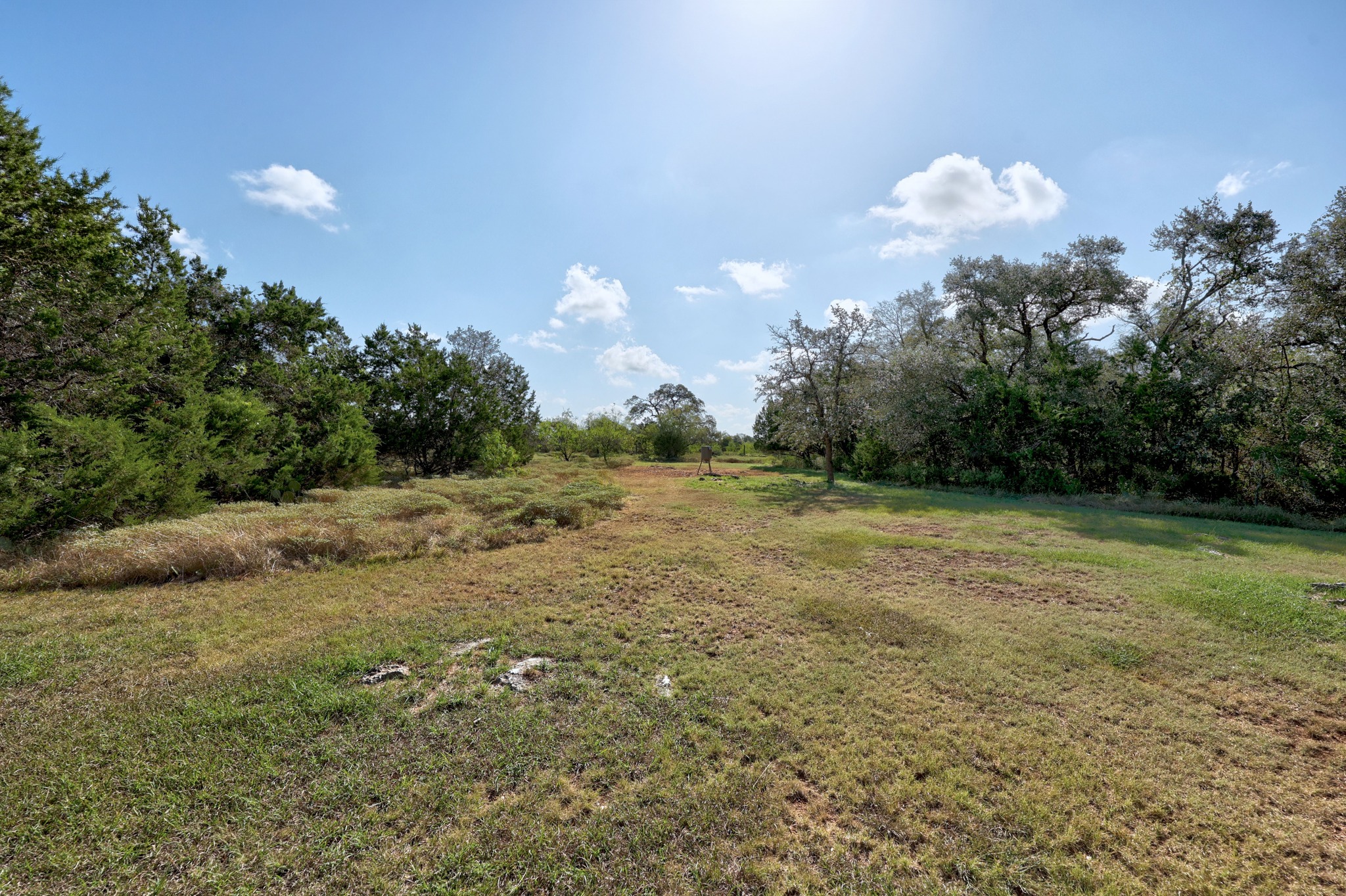 main property photo 37