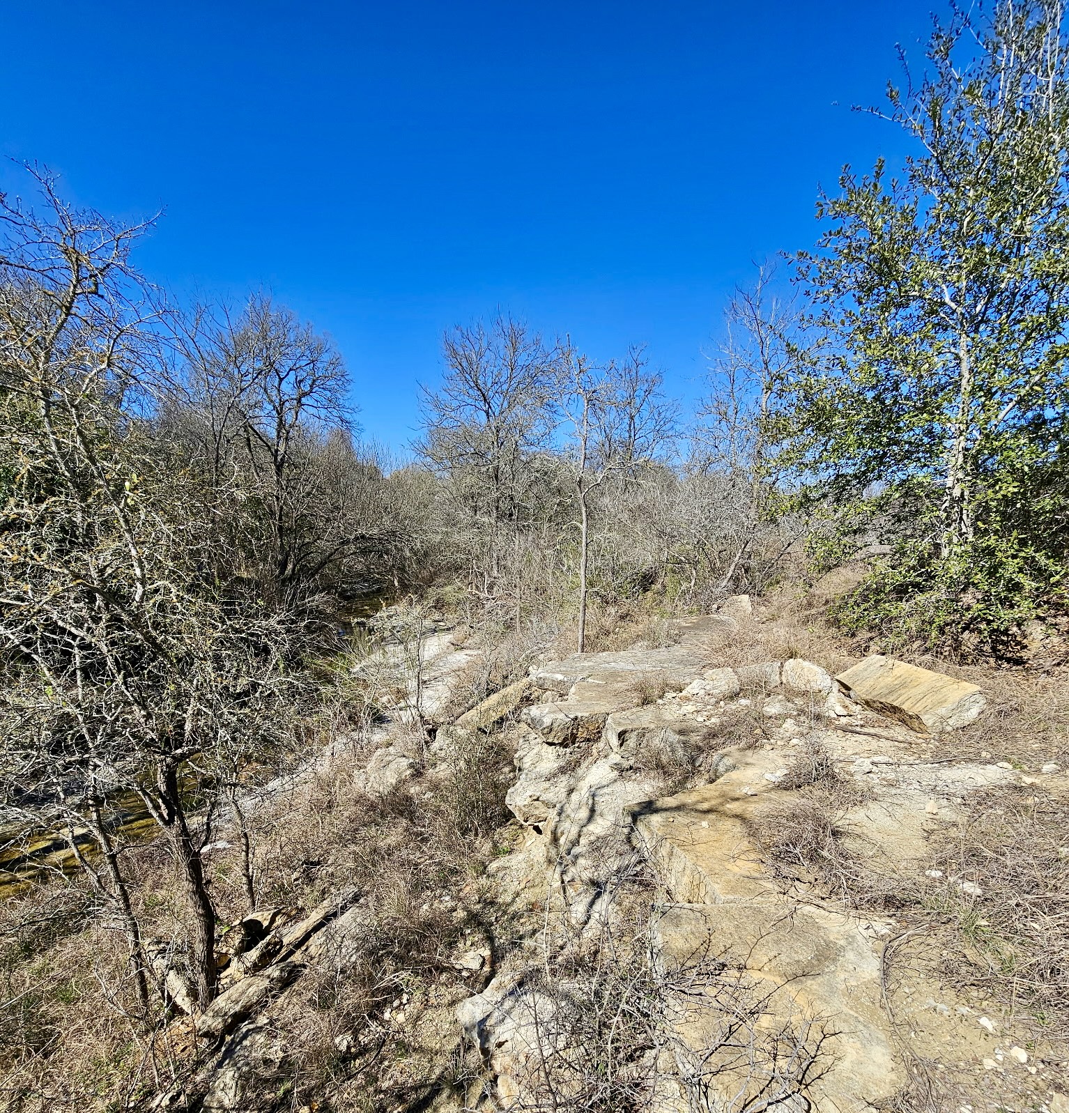 main property photo 6