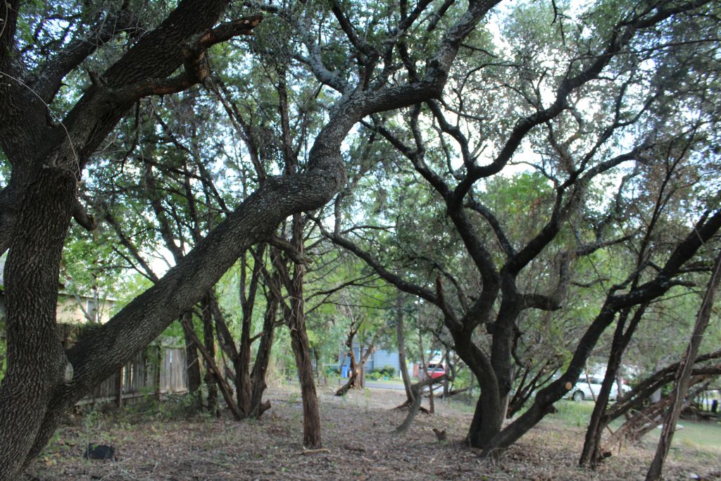 main property photo 16