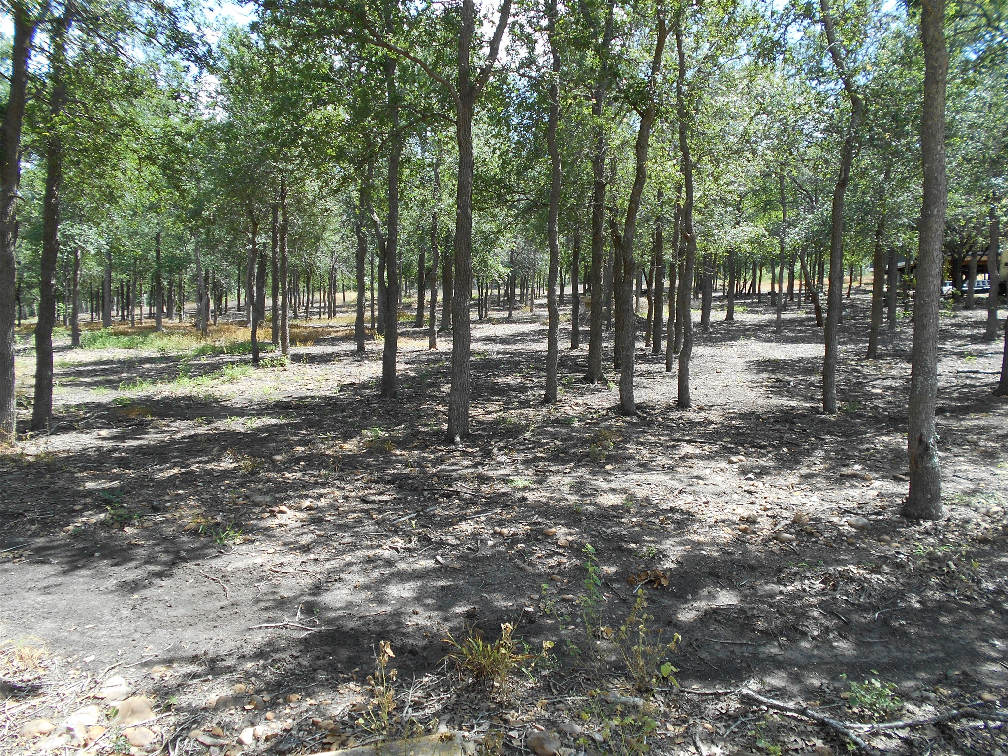 main property photo 23