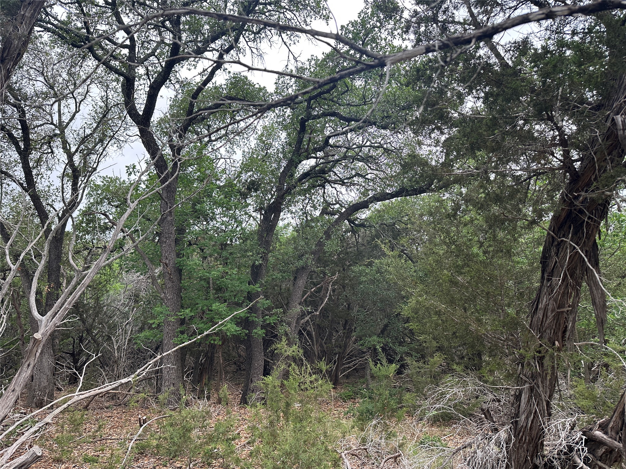 main property photo 22