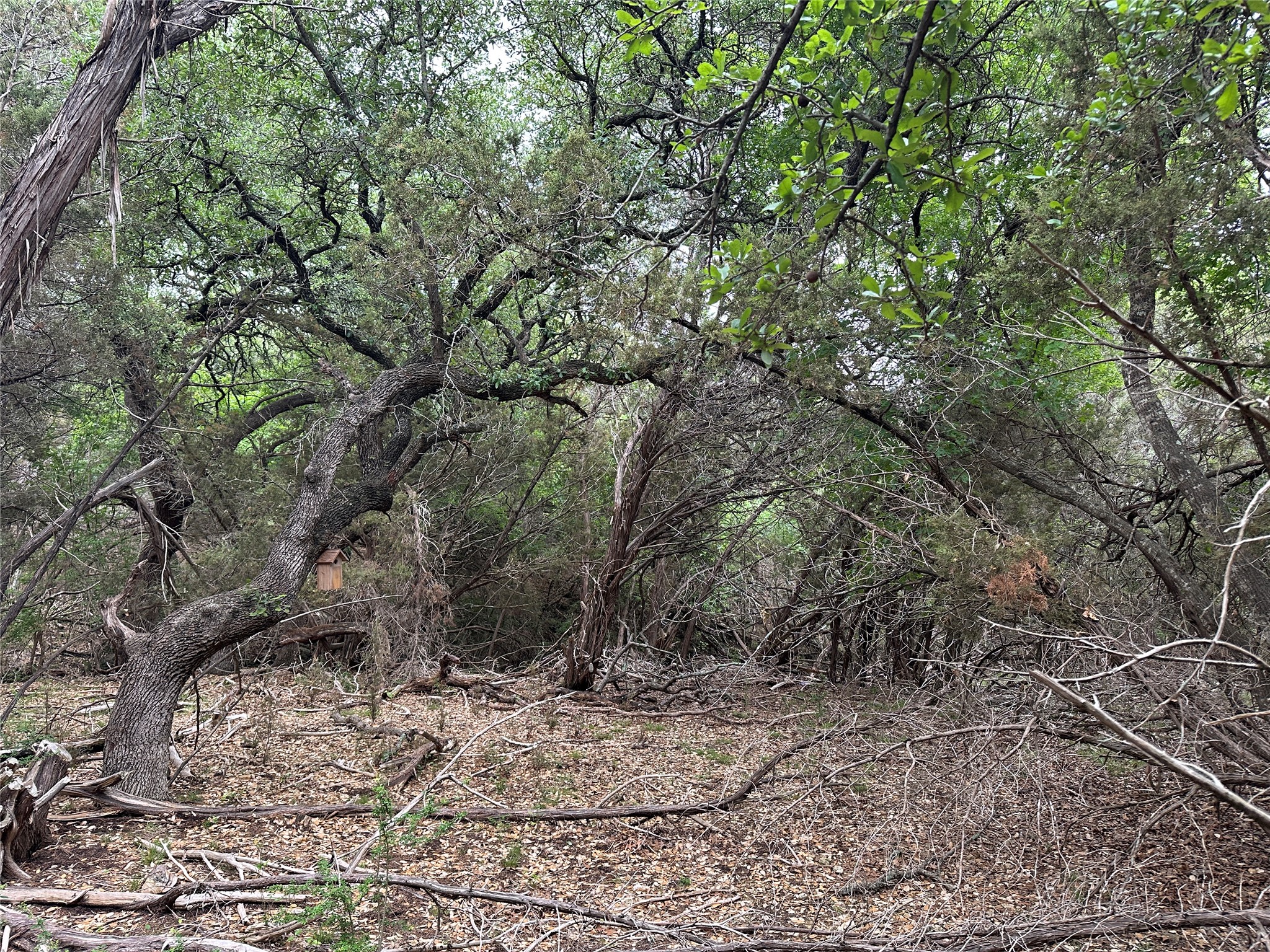 main property photo 23