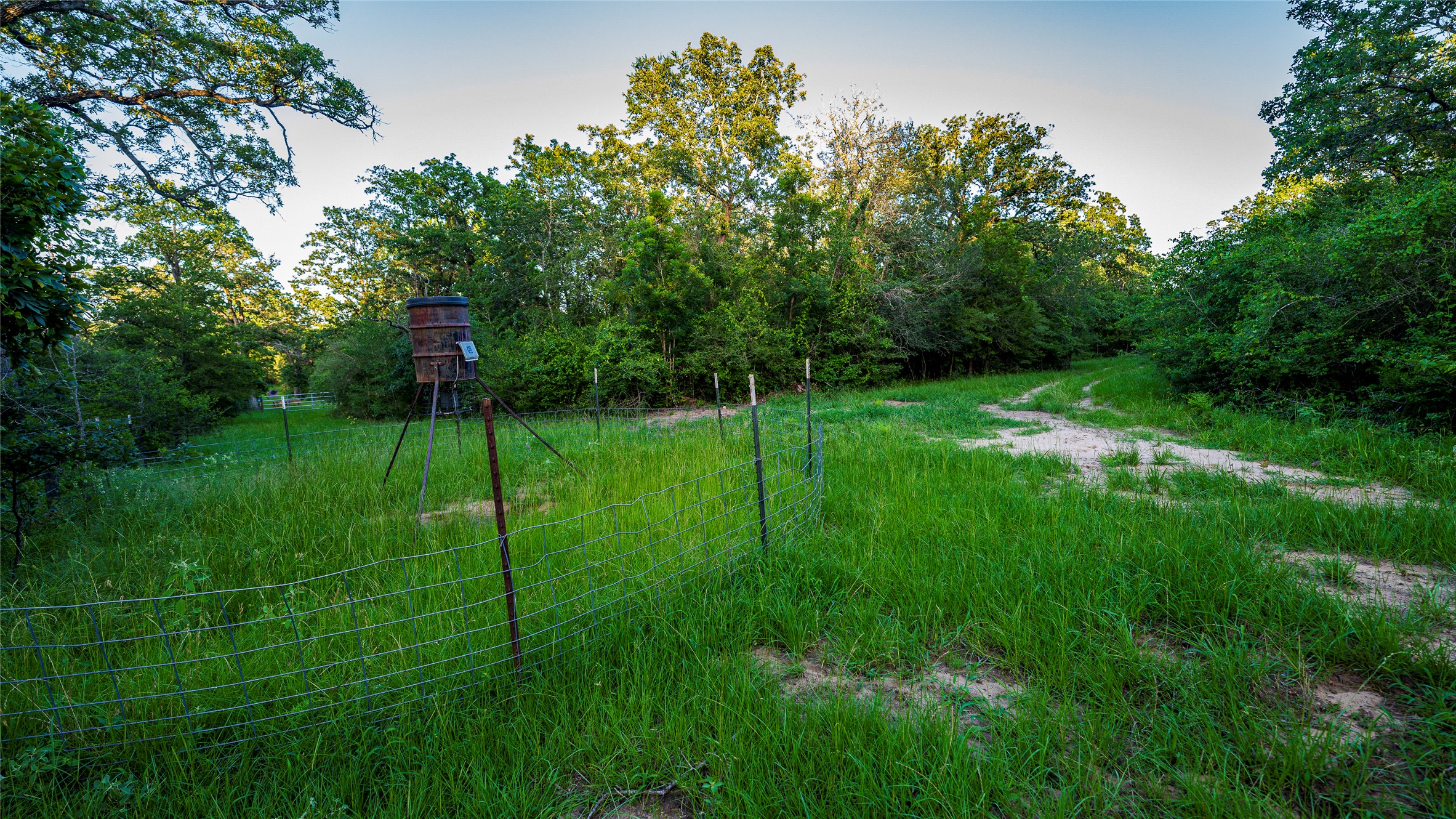 main property photo 15