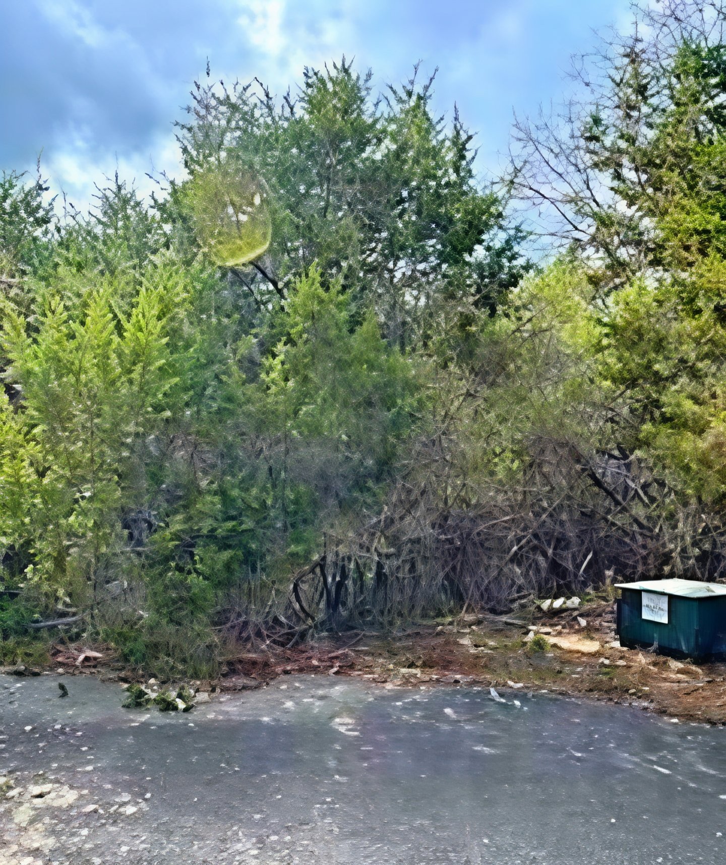 main property photo 1