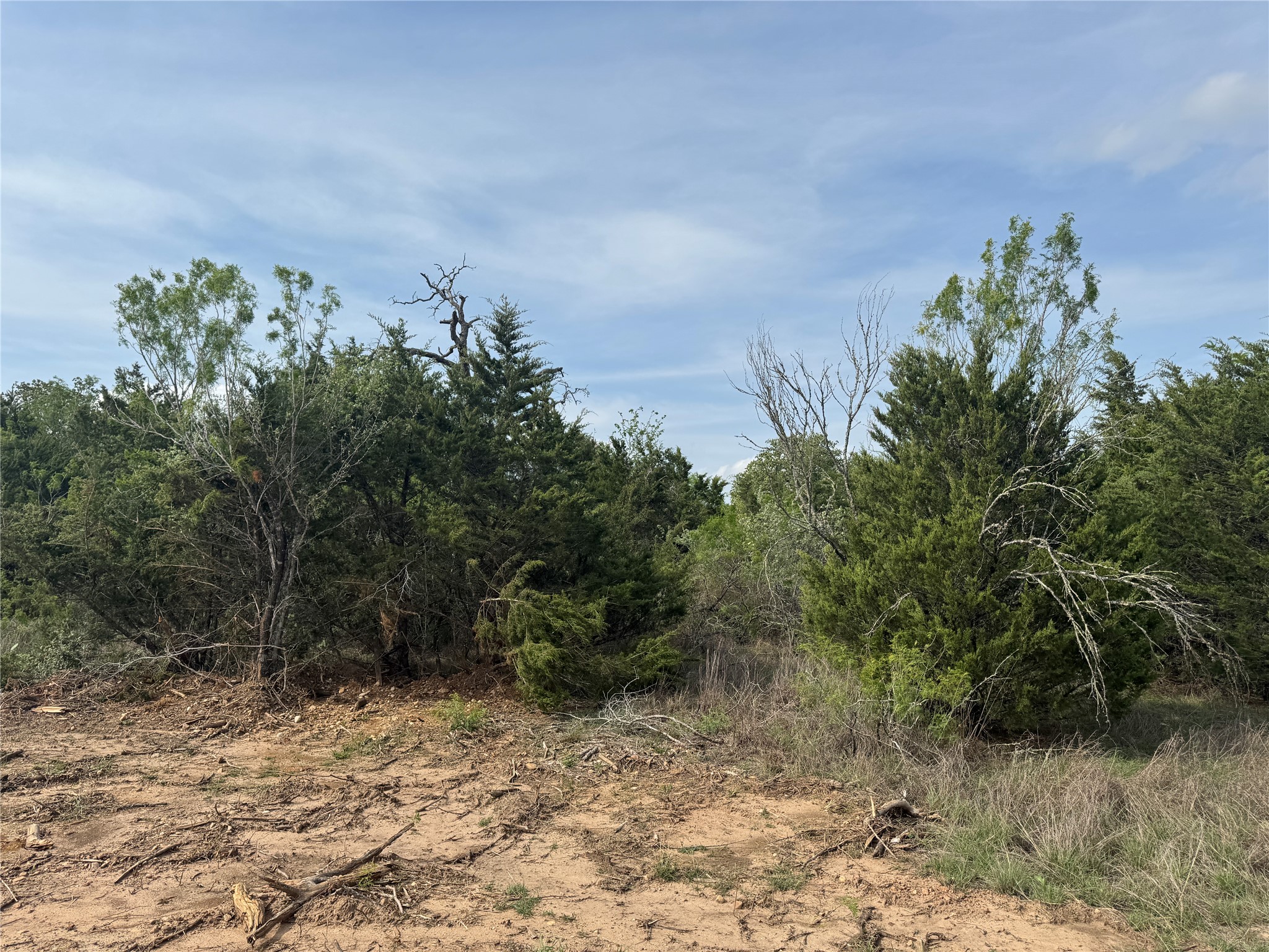 main property photo 28