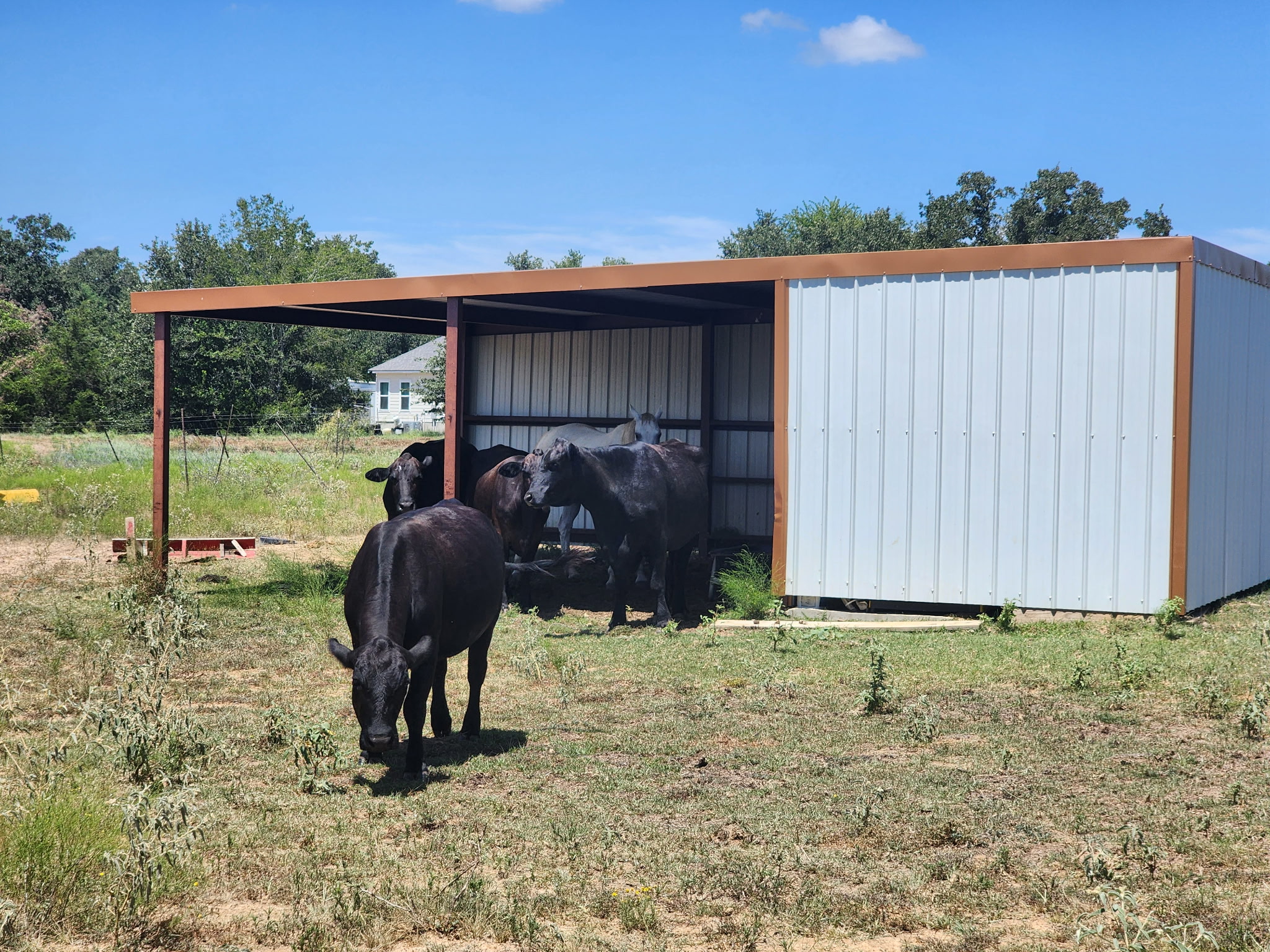 main property photo 3