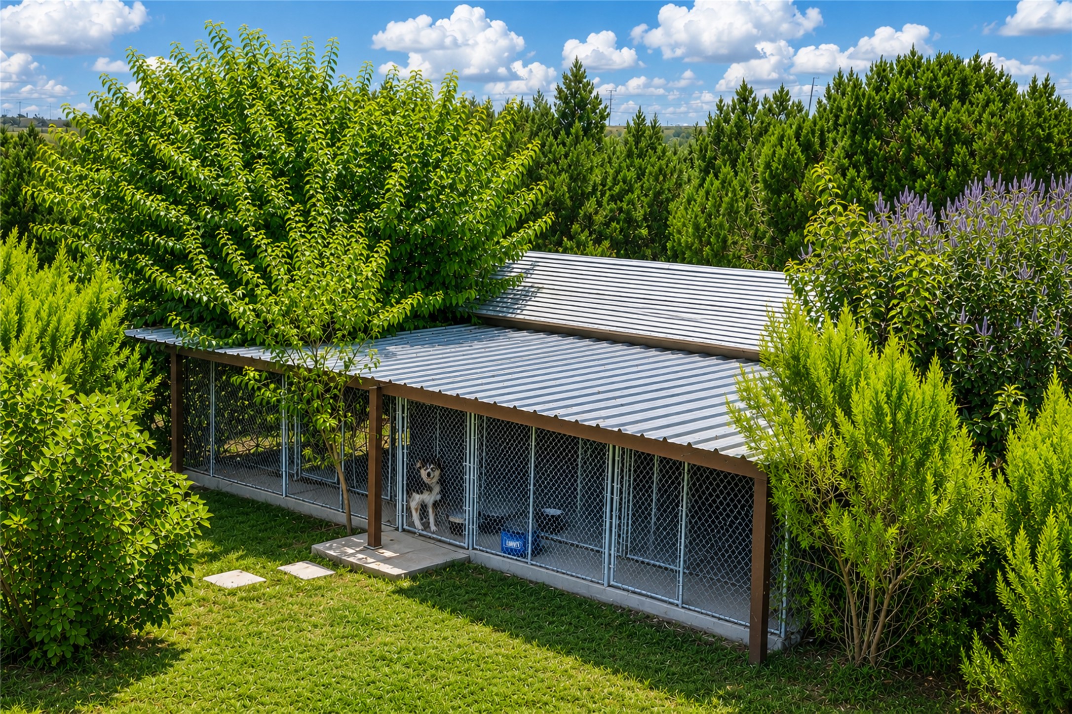 main property photo 35