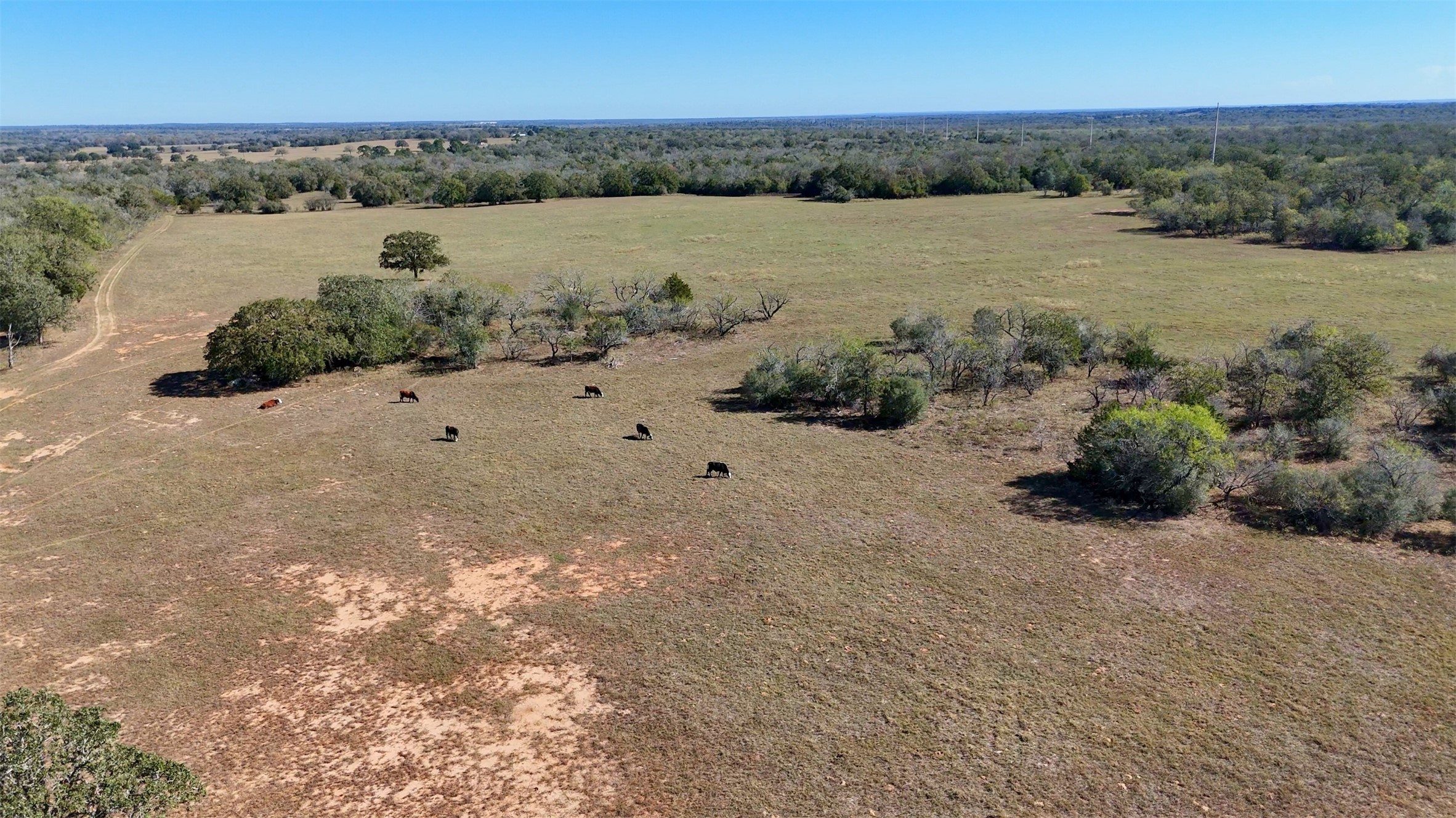 main property photo 13