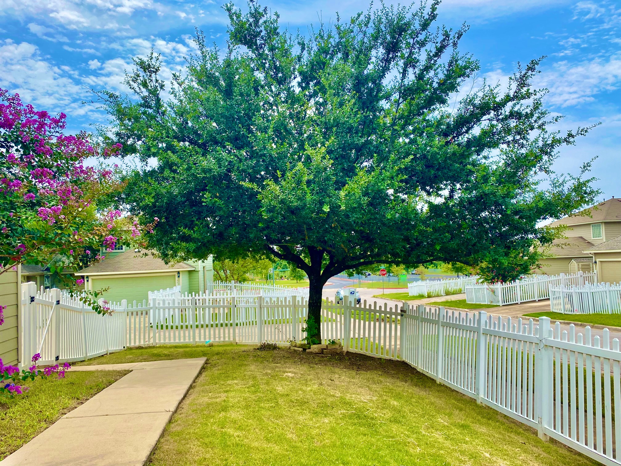 main property photo 18