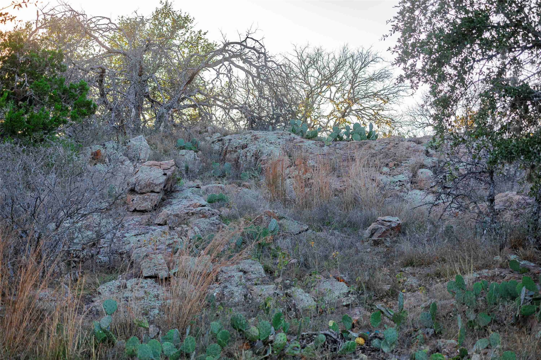 main property photo 21
