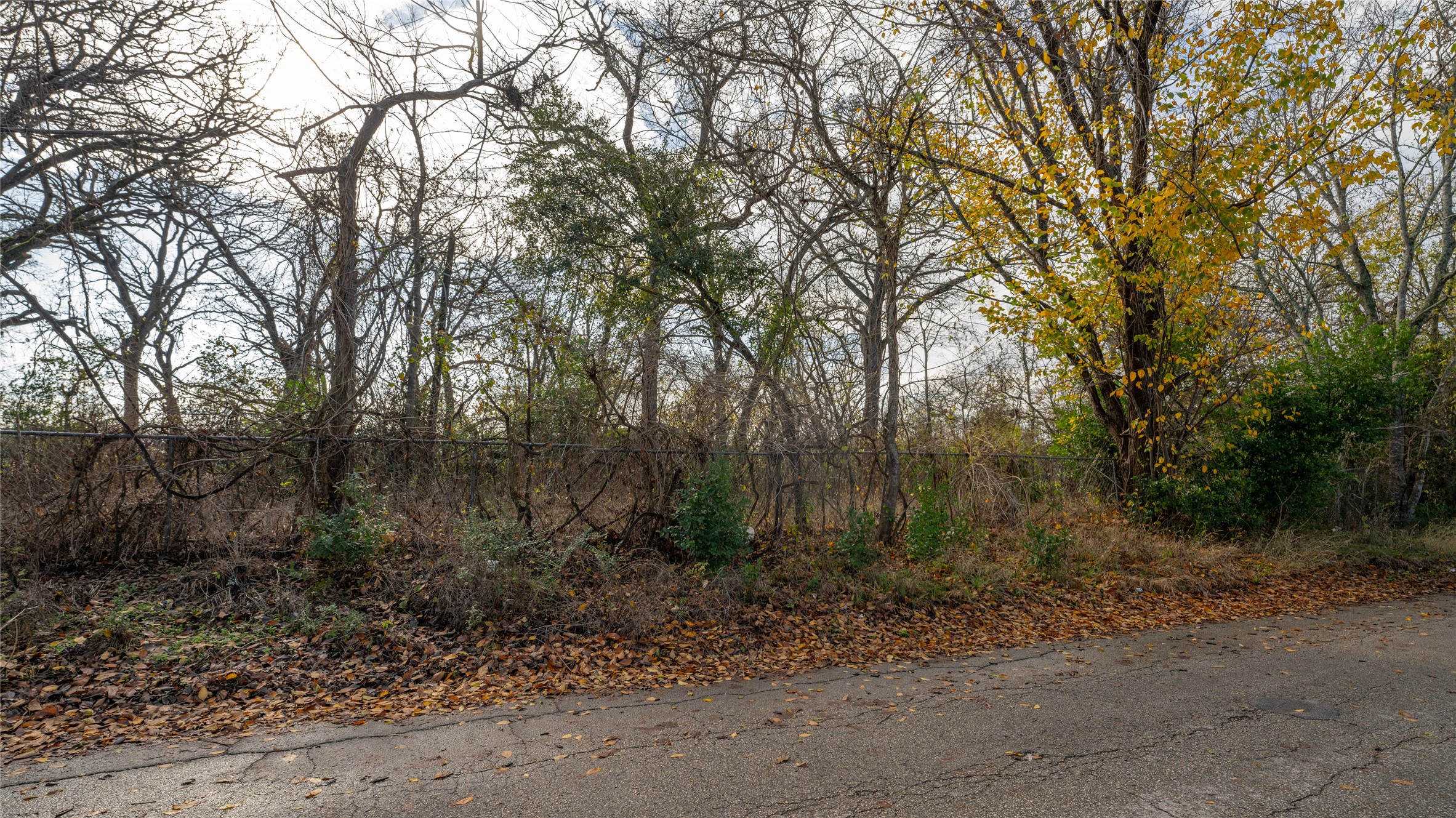 main property photo 18