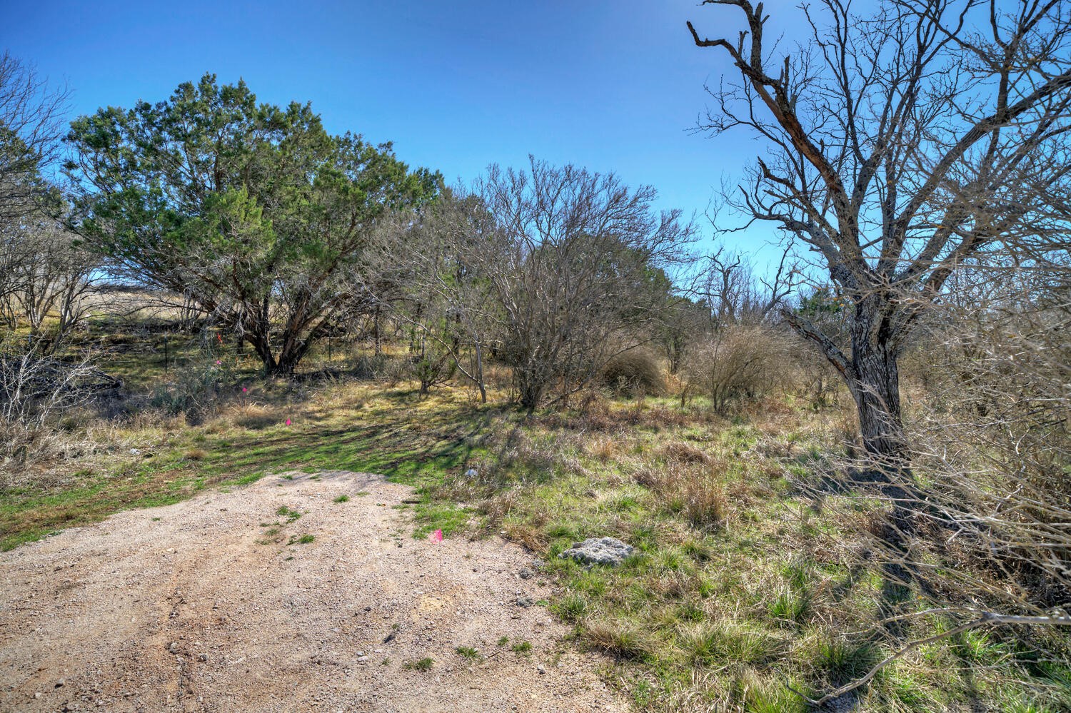 main property photo 15
