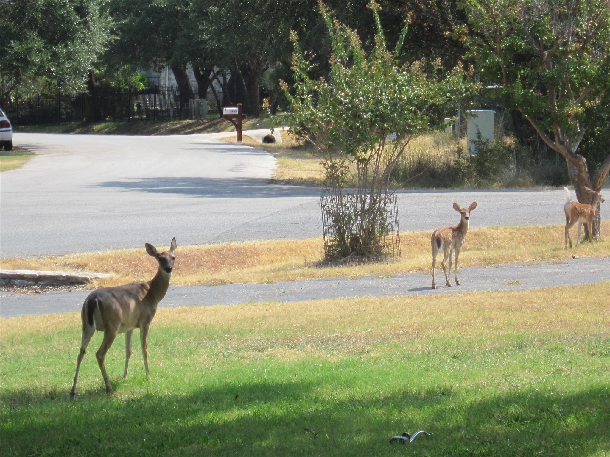 main property photo 15