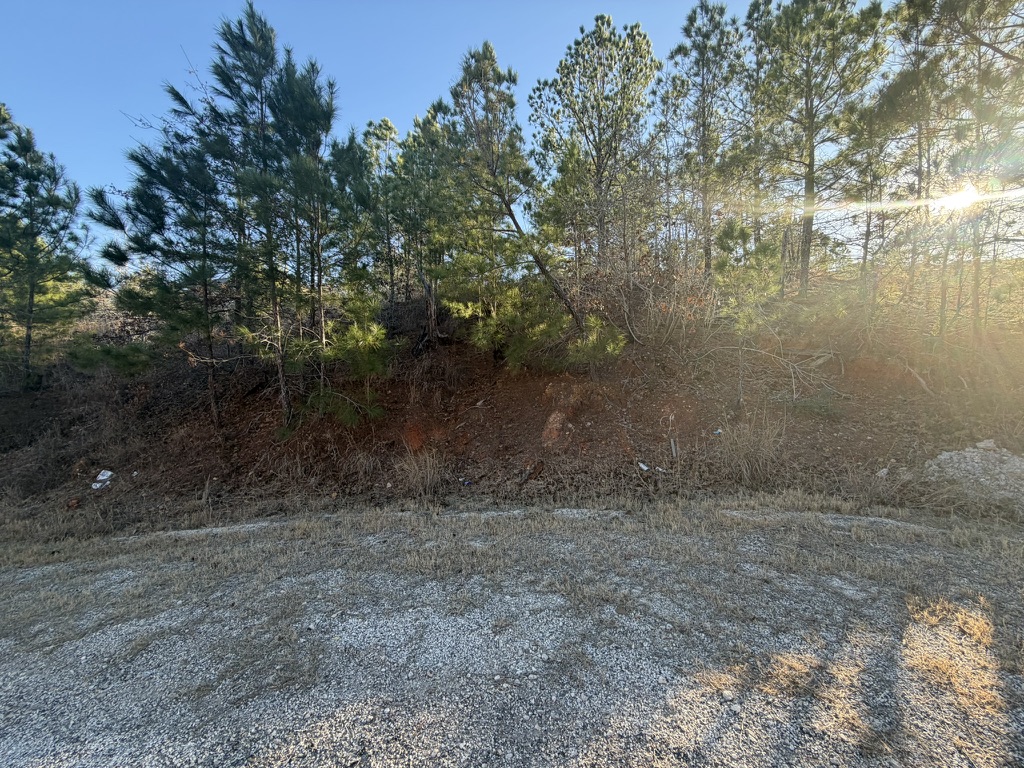 main property photo 10