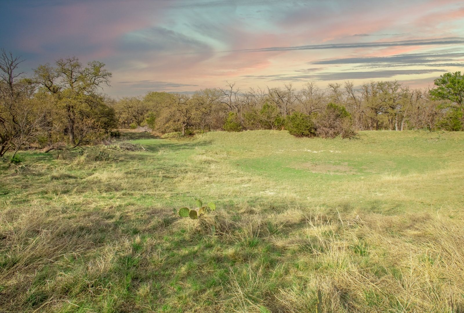 main property photo 25