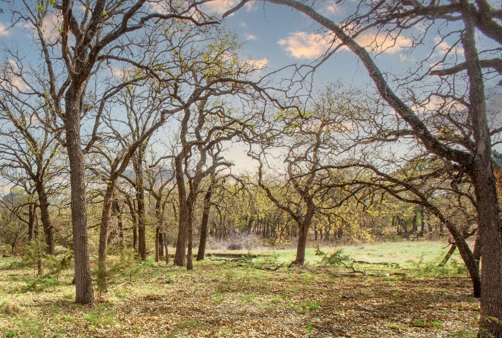main property photo 7