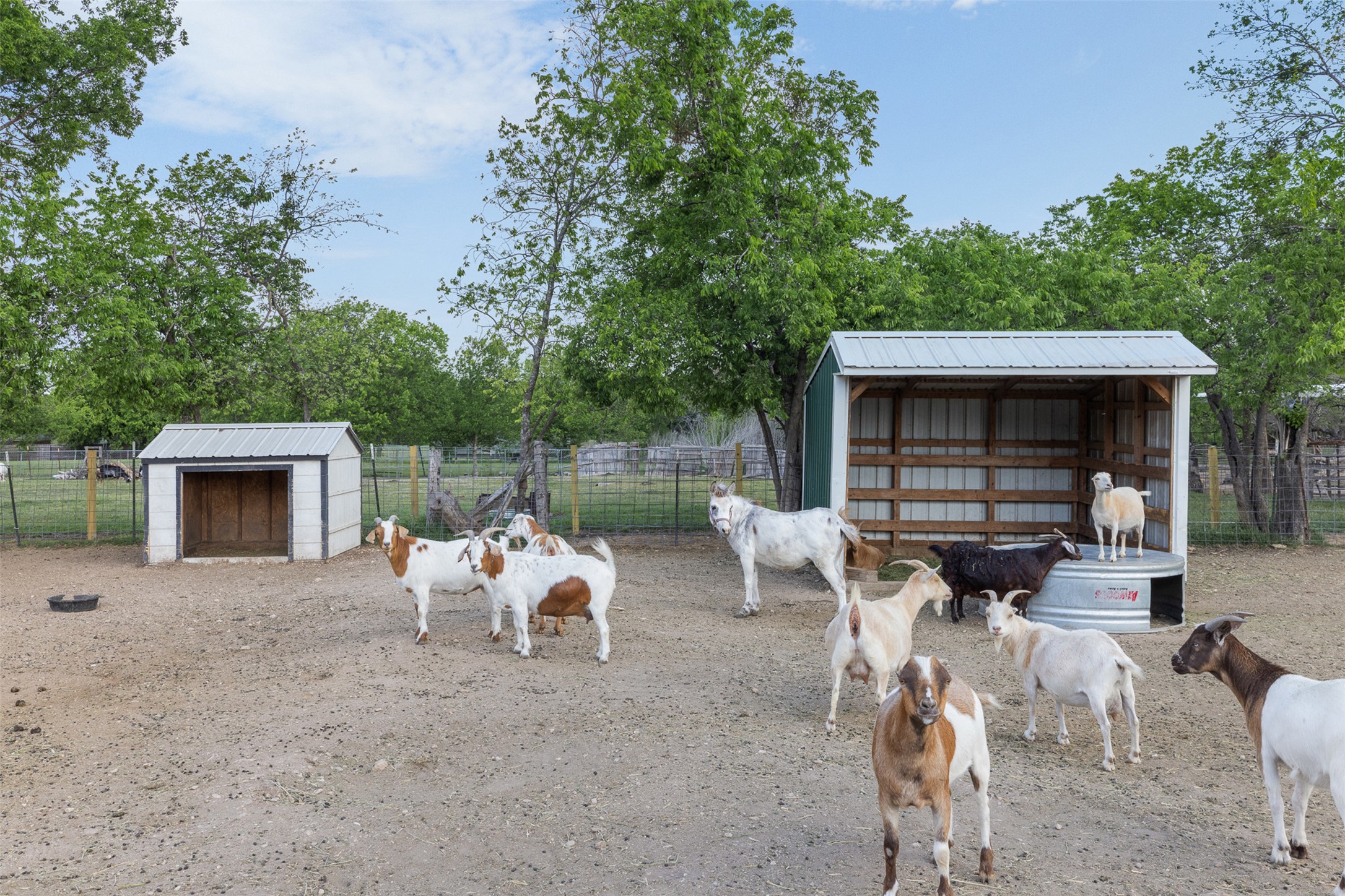 main property photo 29