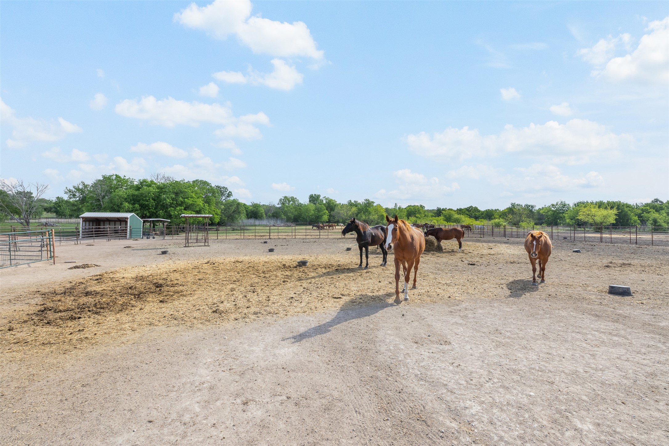 main property photo 36