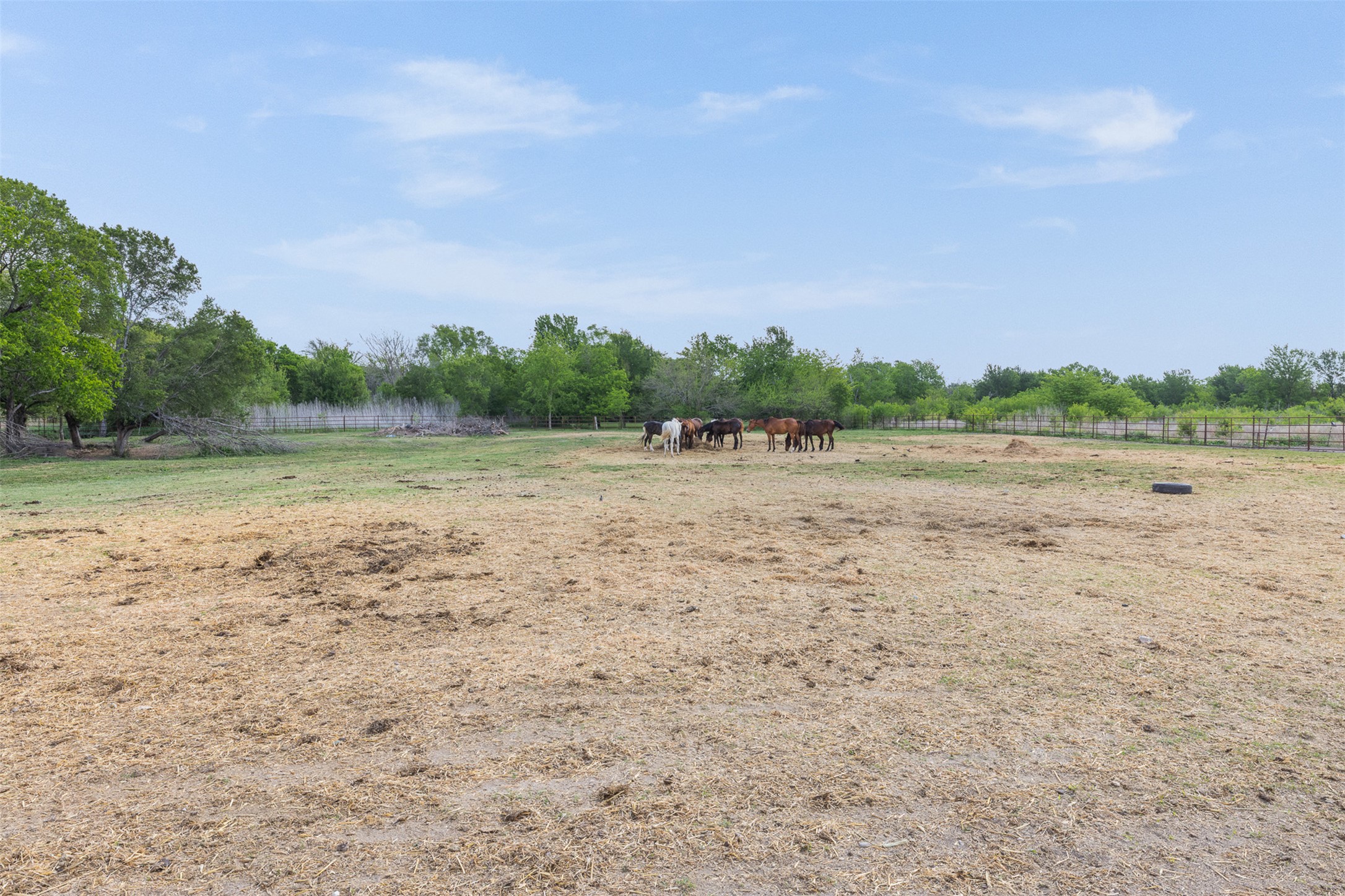 main property photo 37
