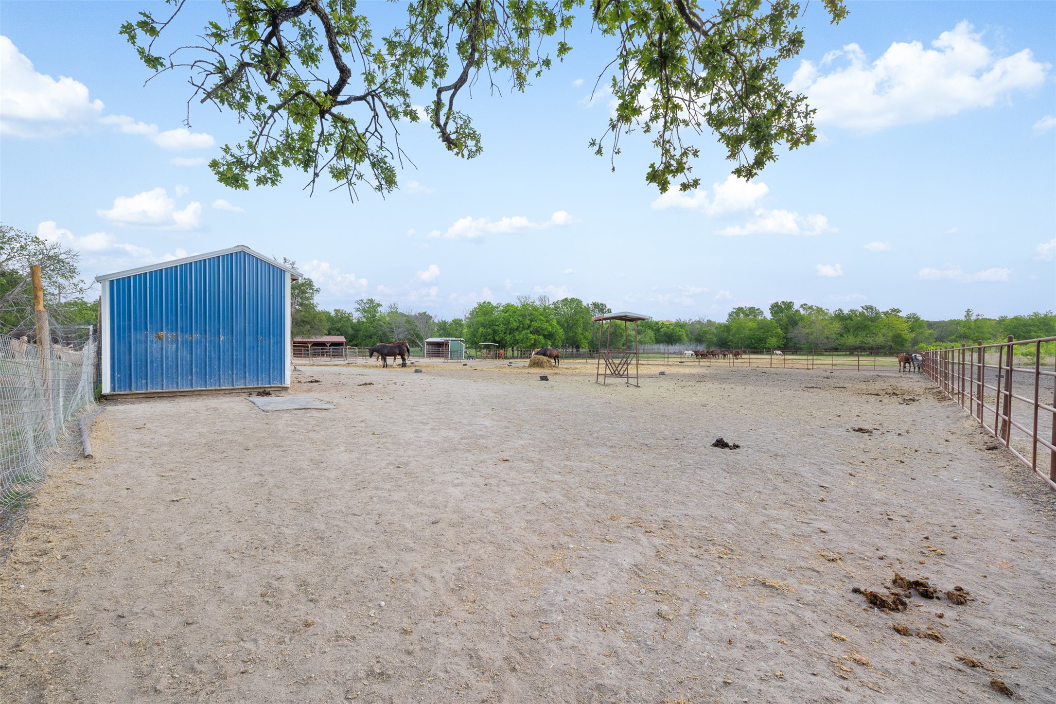 main property photo 6