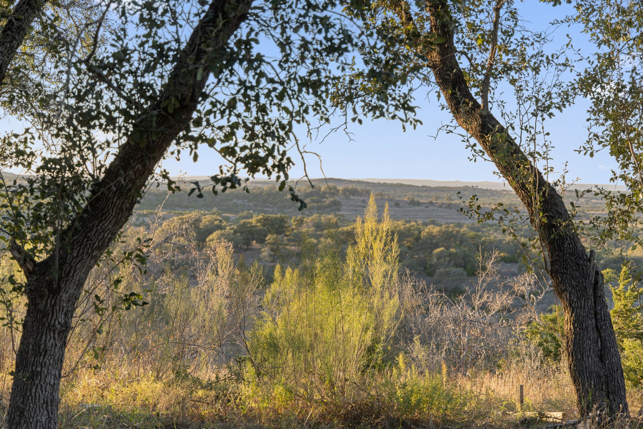 main property photo 11