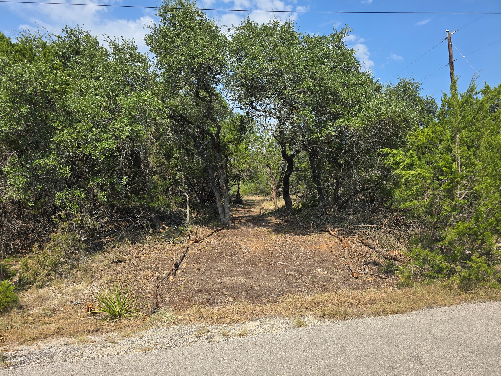 main property photo 11