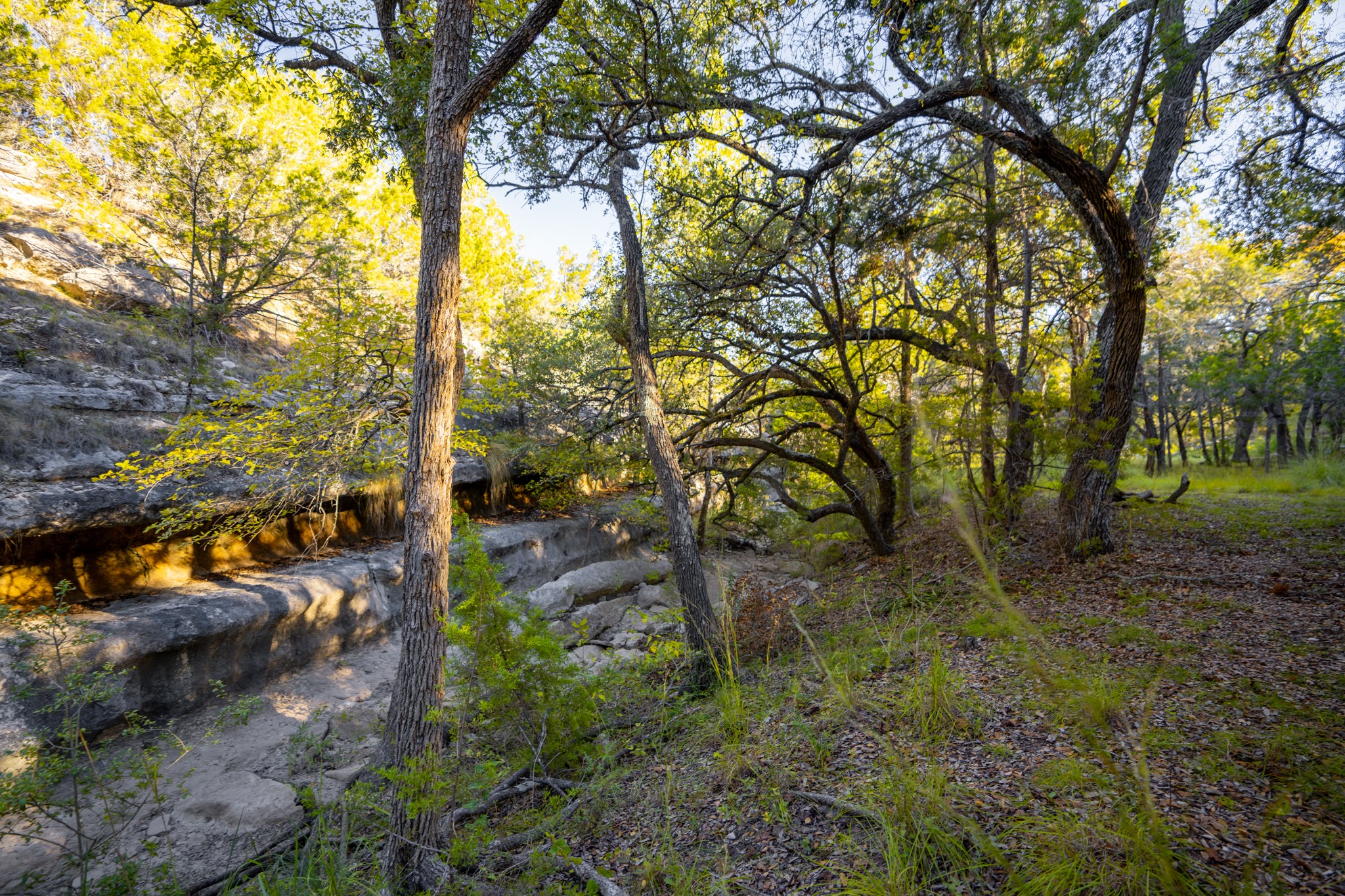 main property photo 14