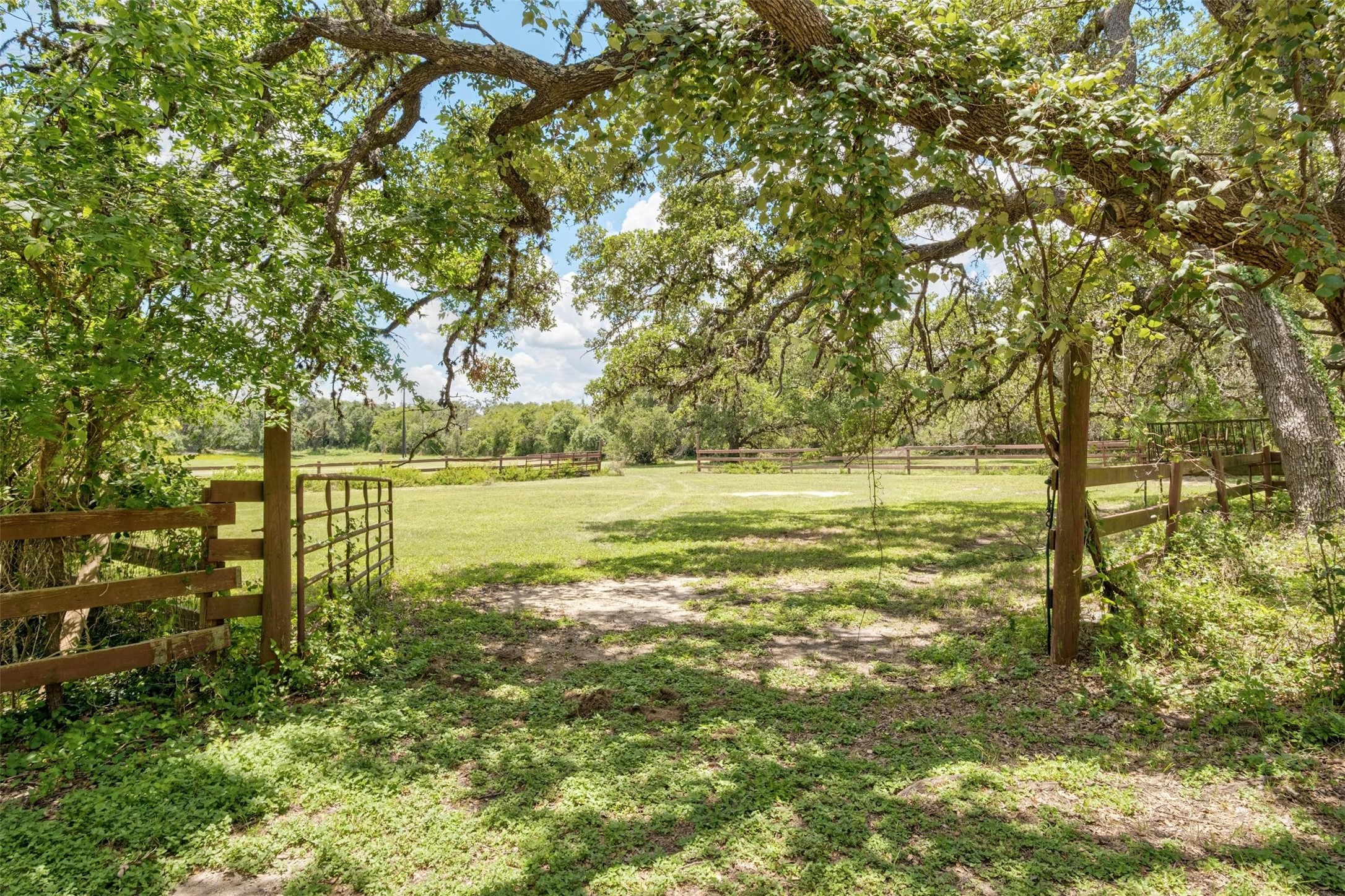 main property photo 19