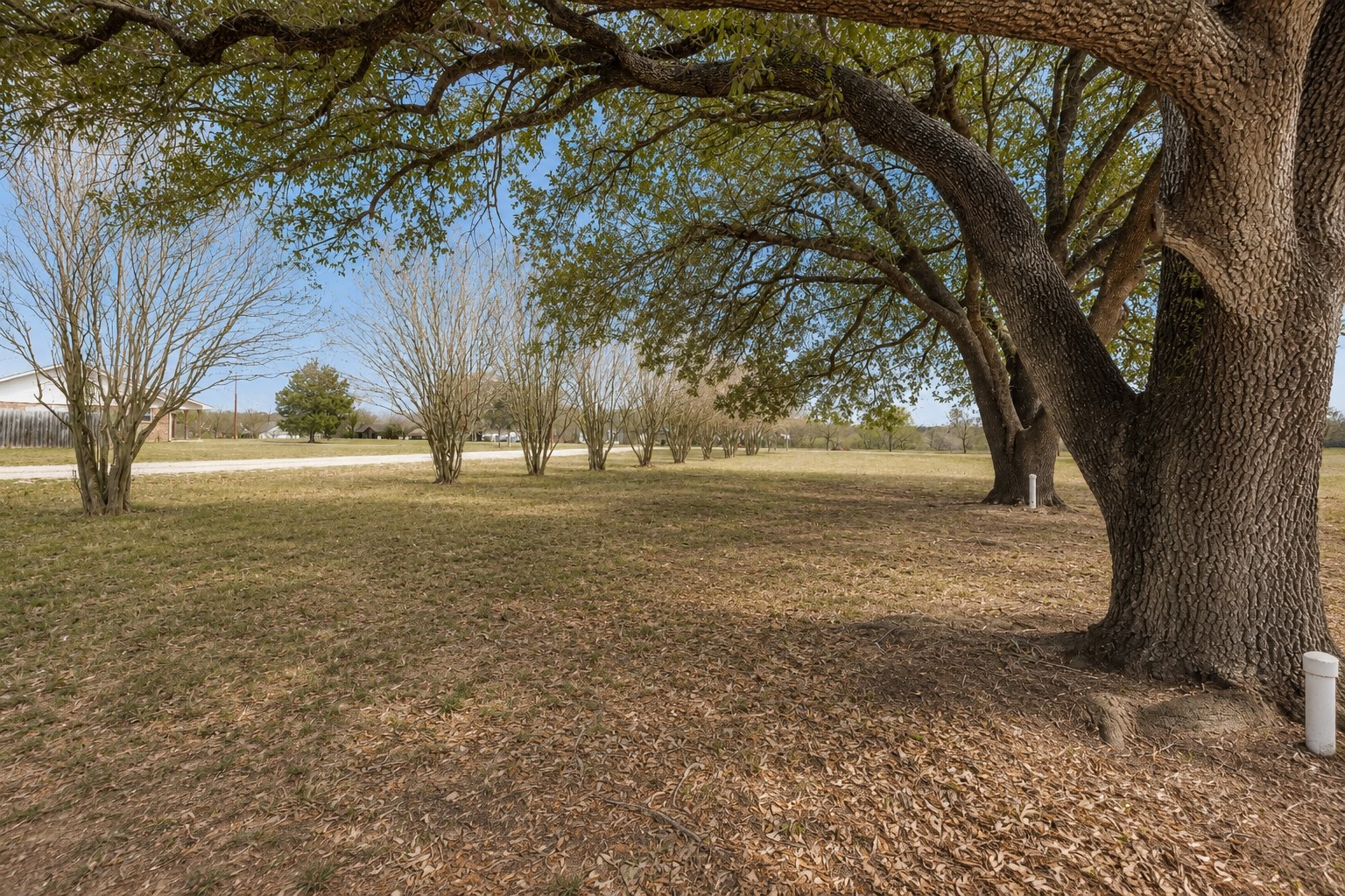 main property photo 25