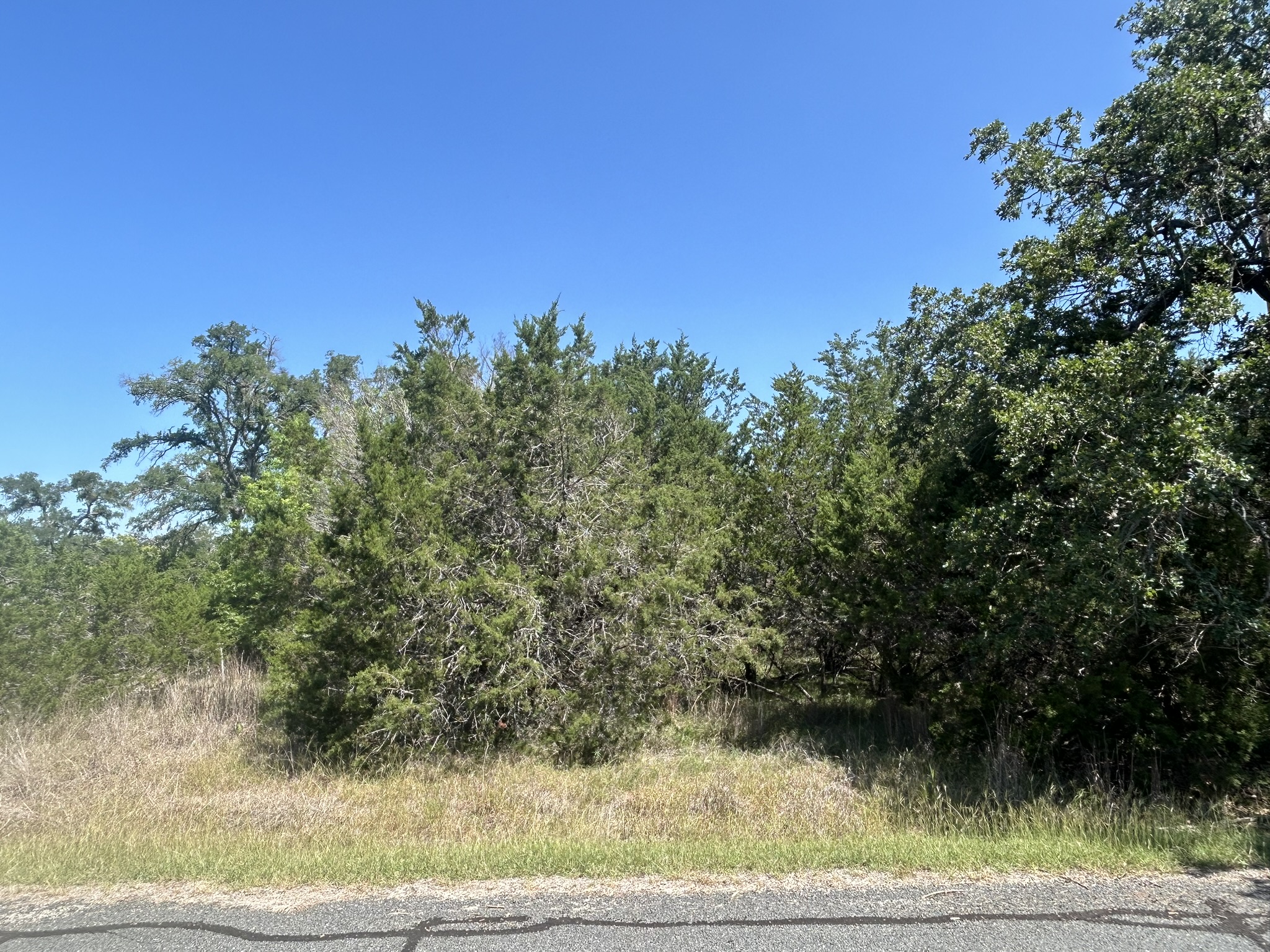 main property photo 17