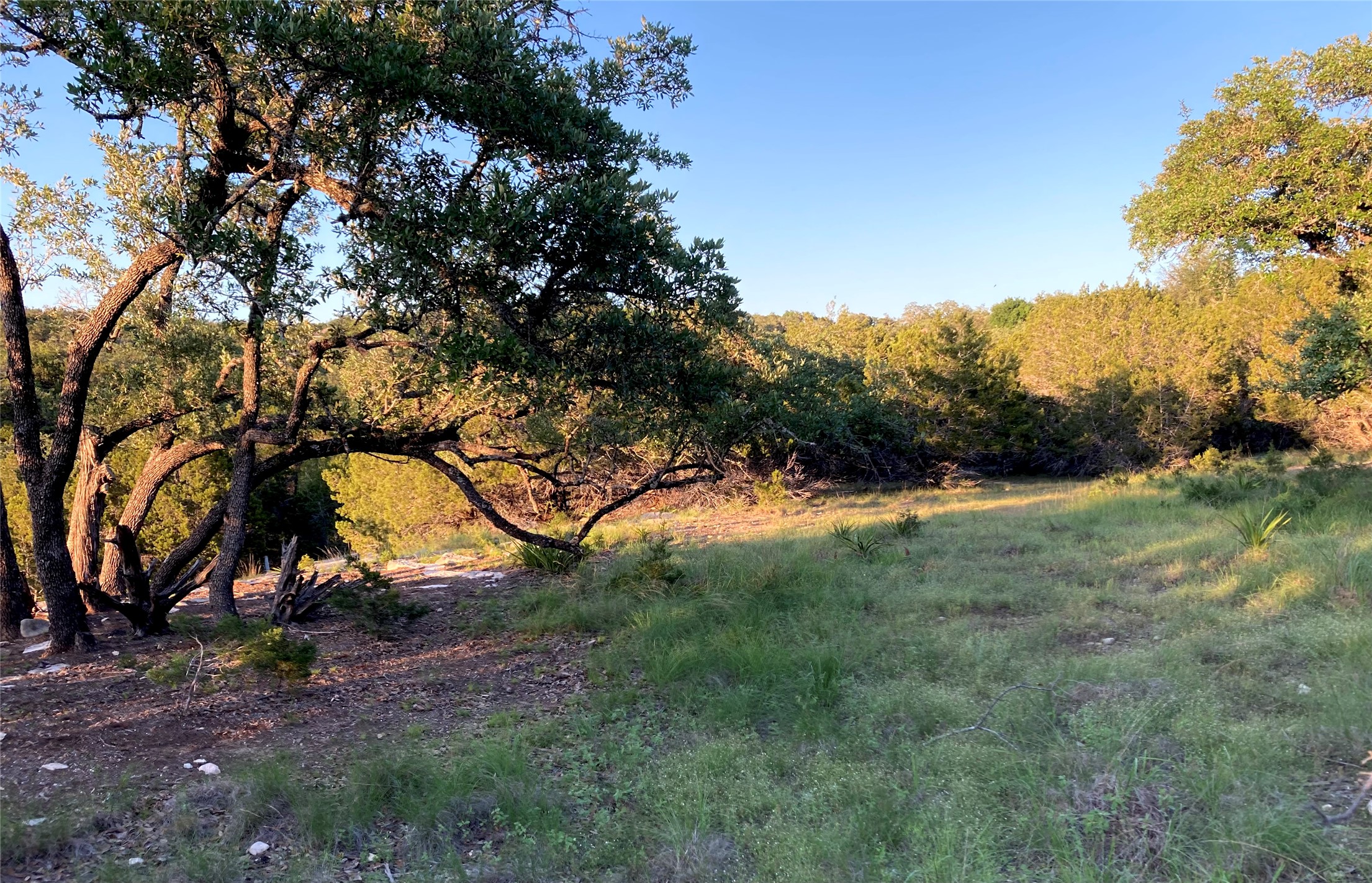 main property photo 11