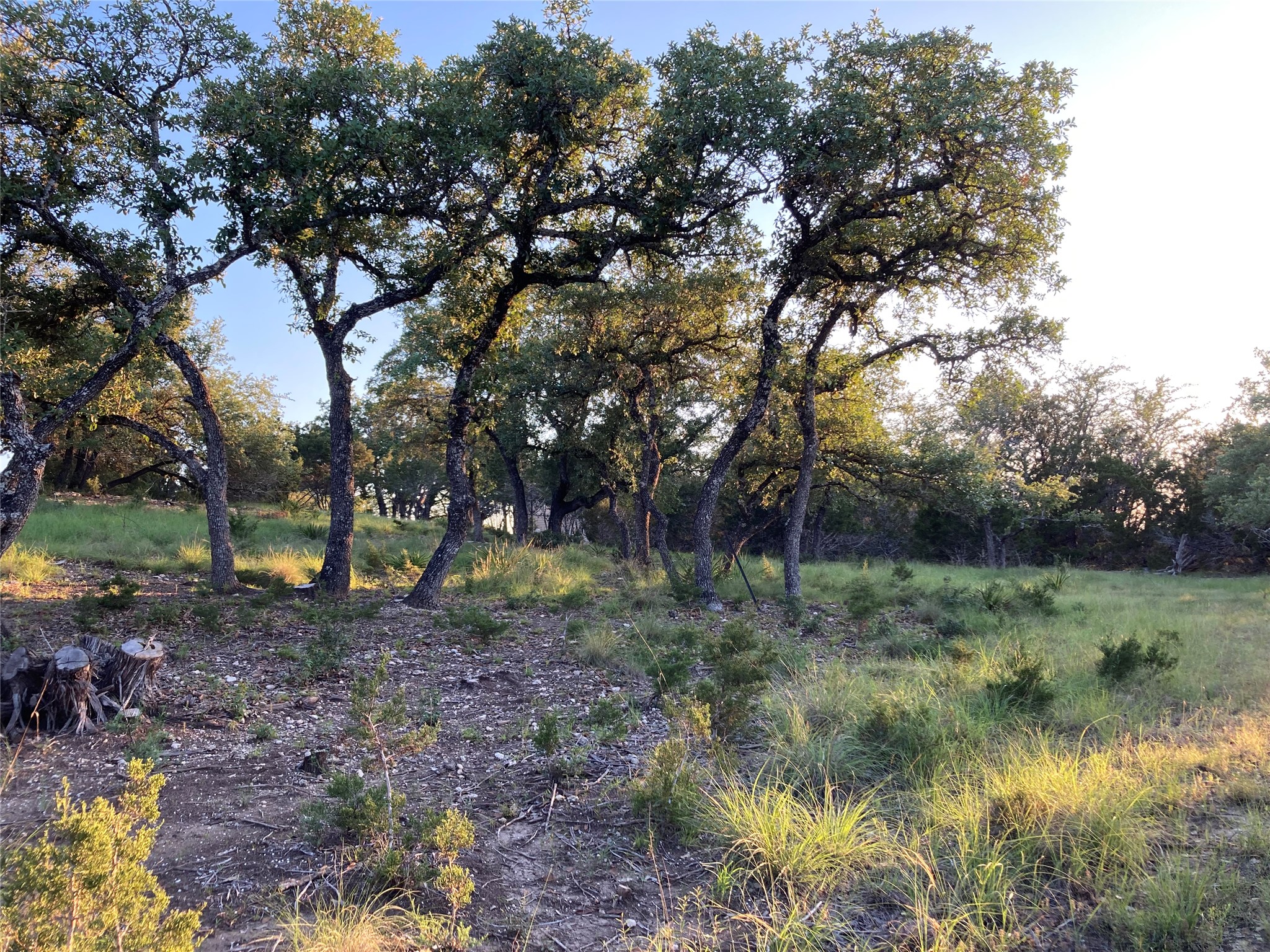 main property photo 12