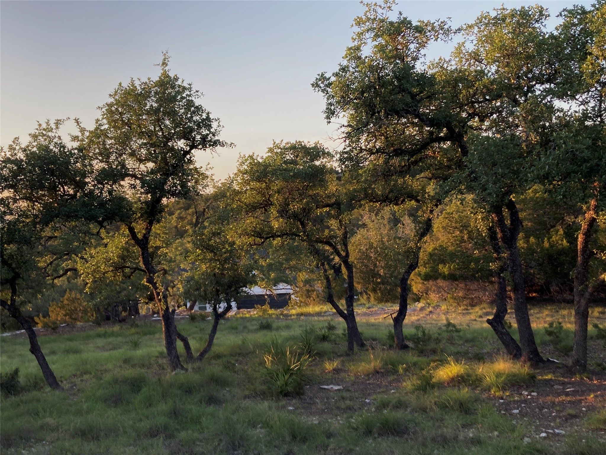 main property photo 14