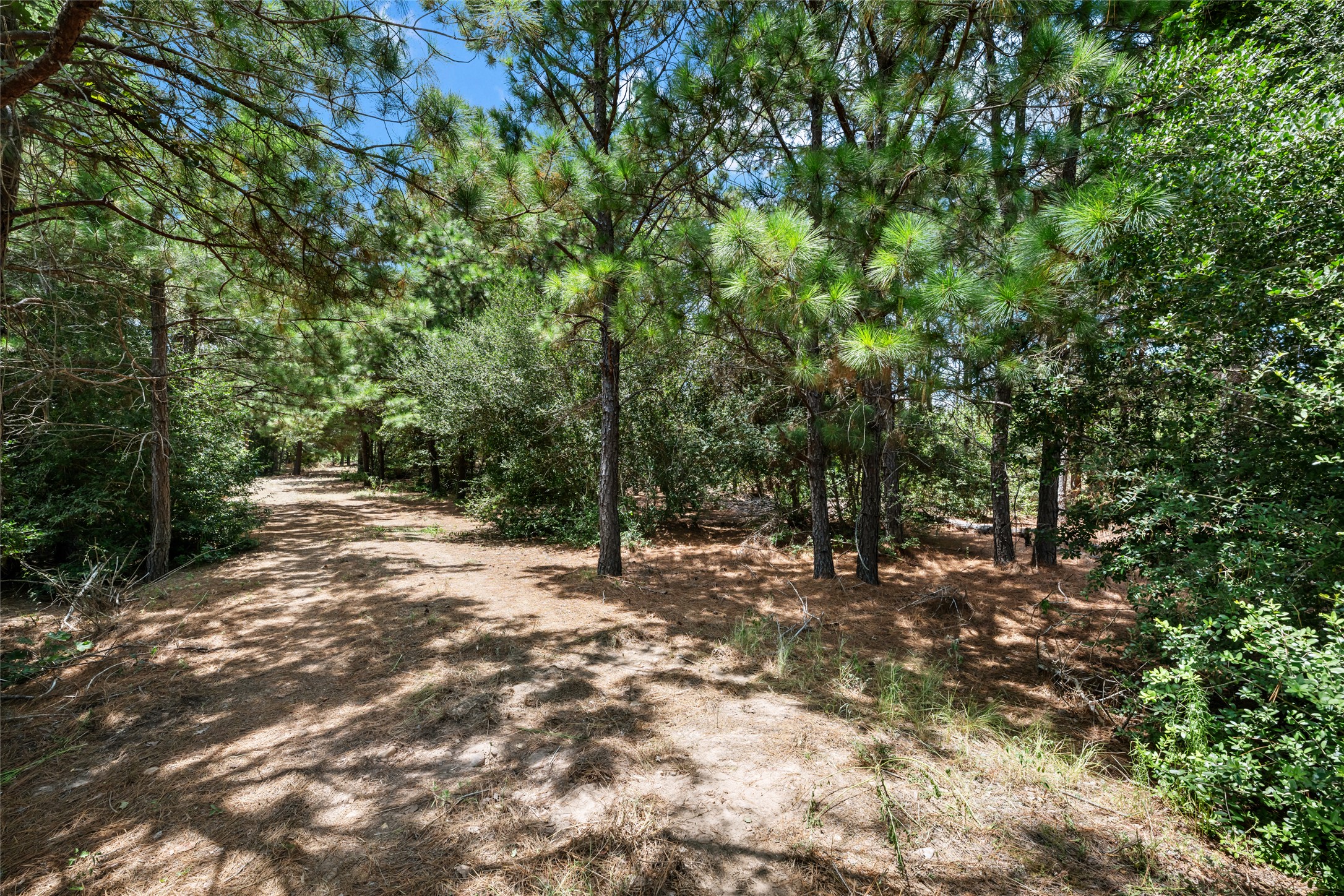 main property photo 16