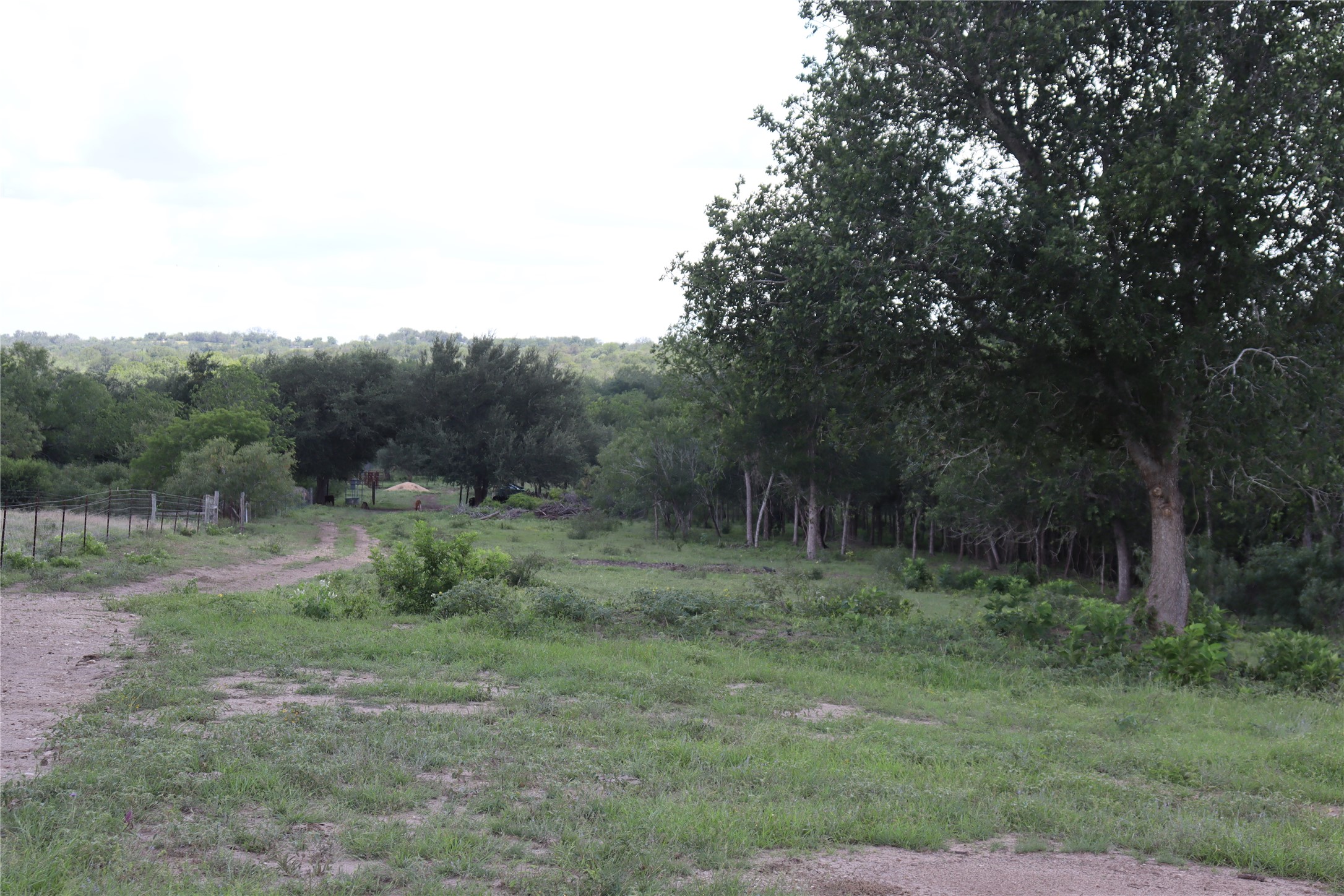 main property photo 11