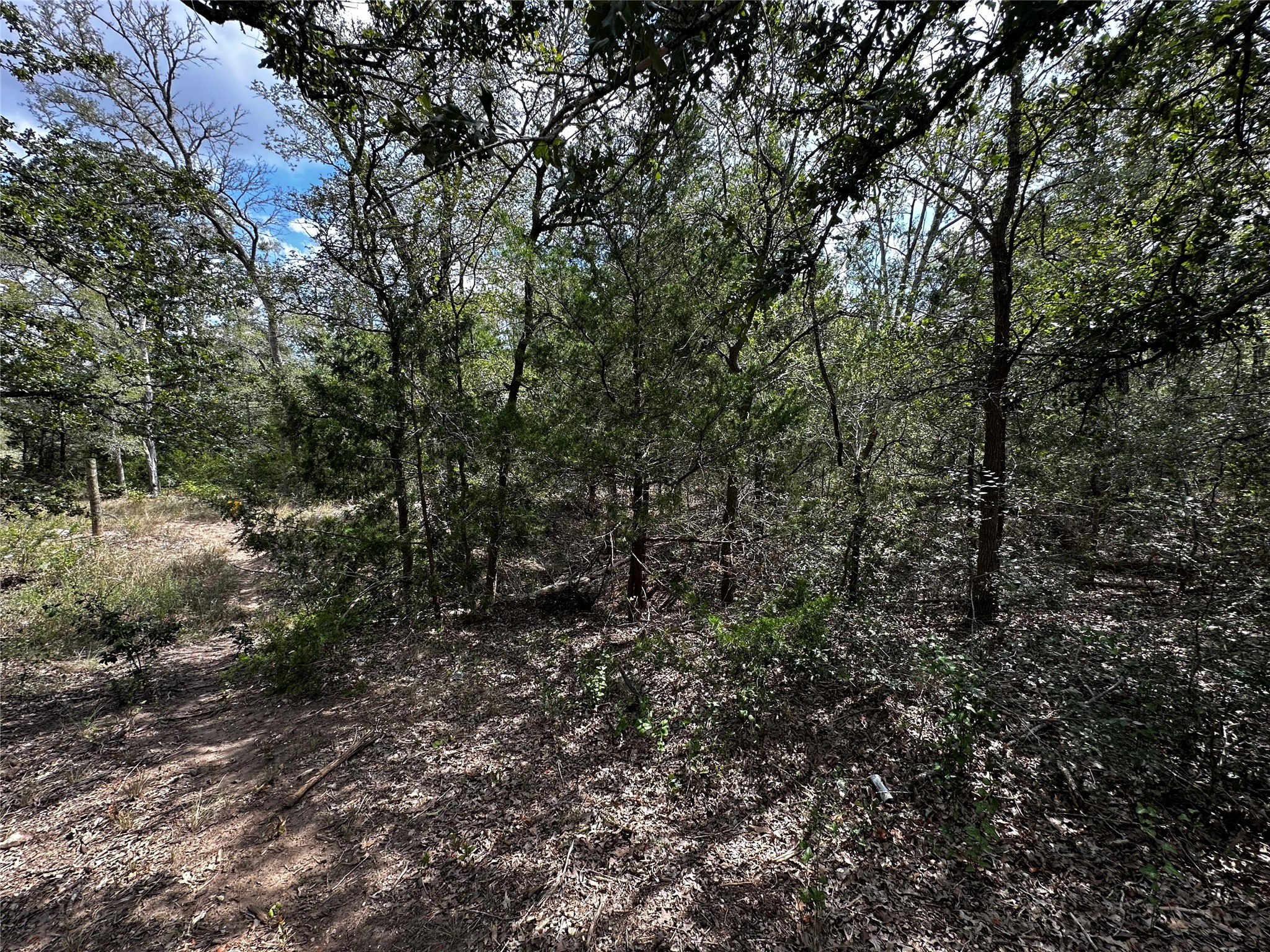 main property photo 11