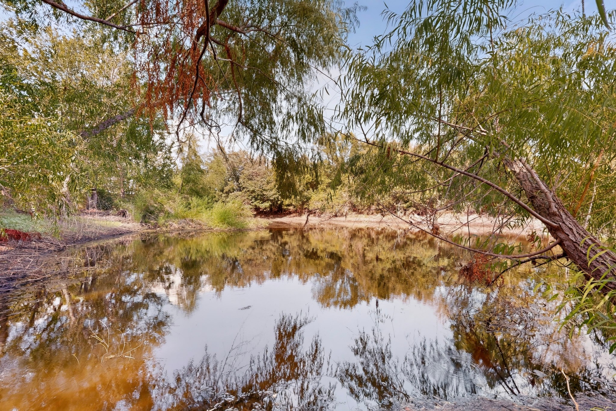 main property photo 38