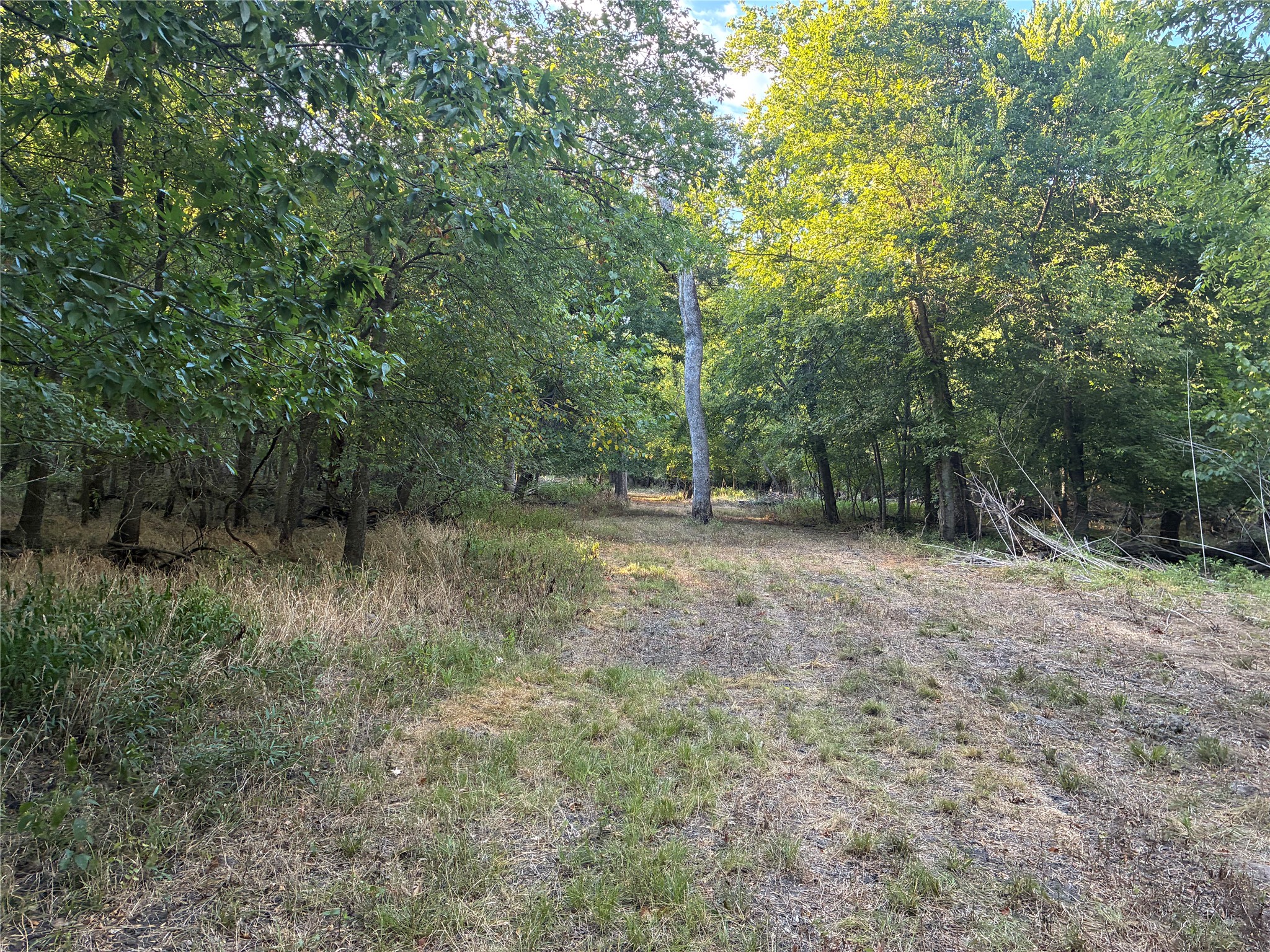 main property photo 28