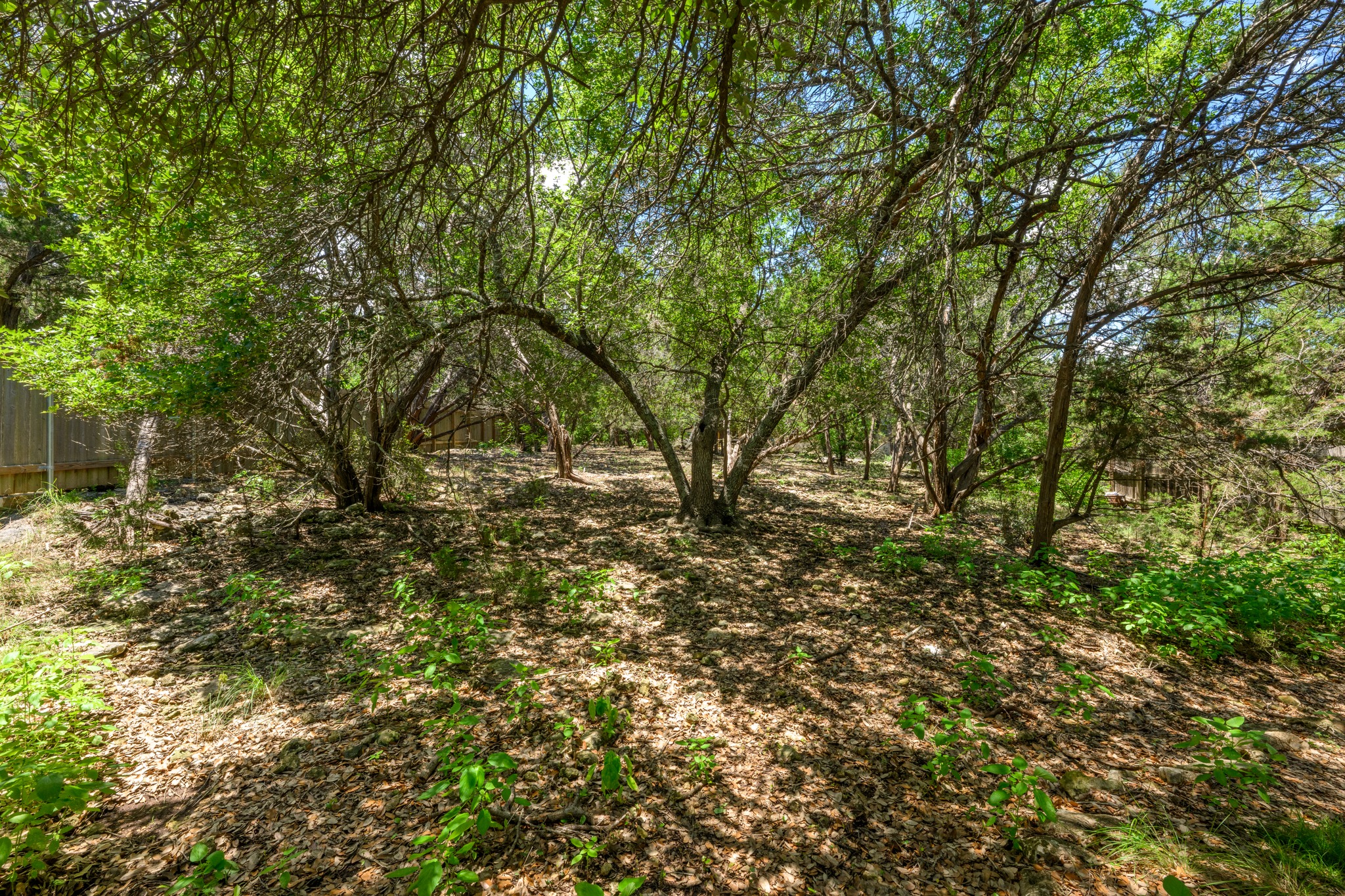 main property photo 27