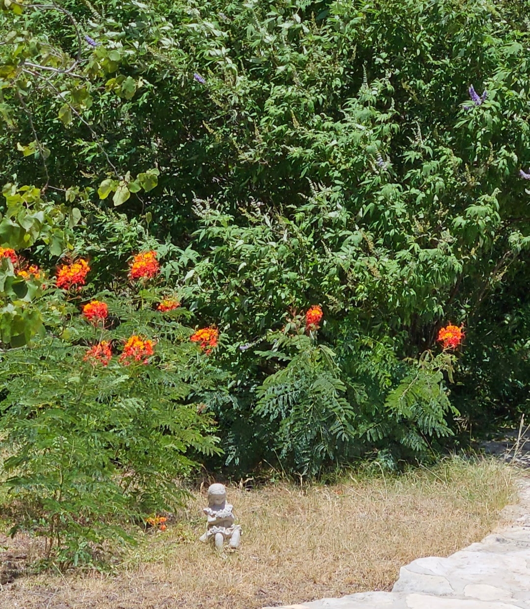 main property photo 16