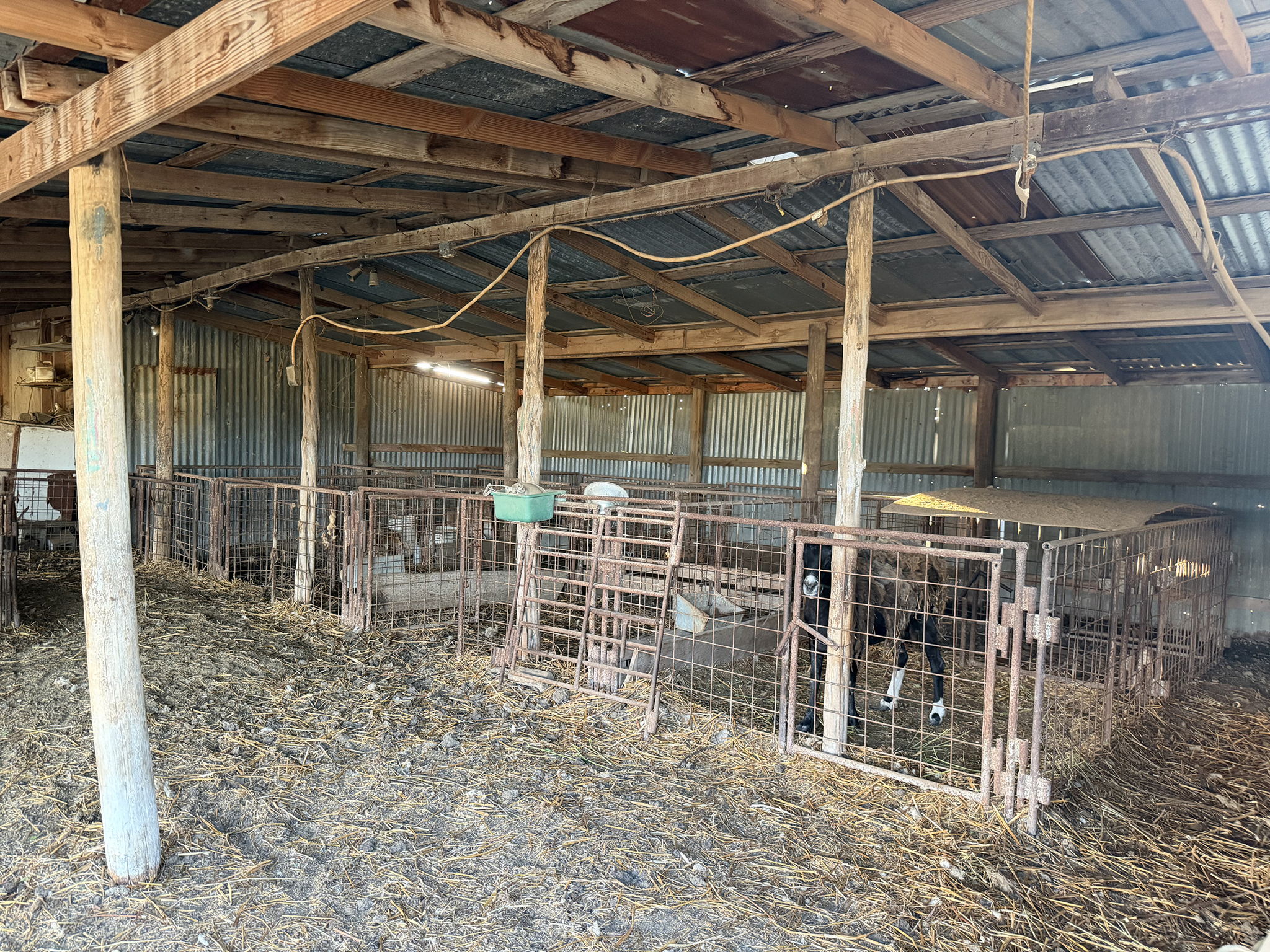 main property photo 11