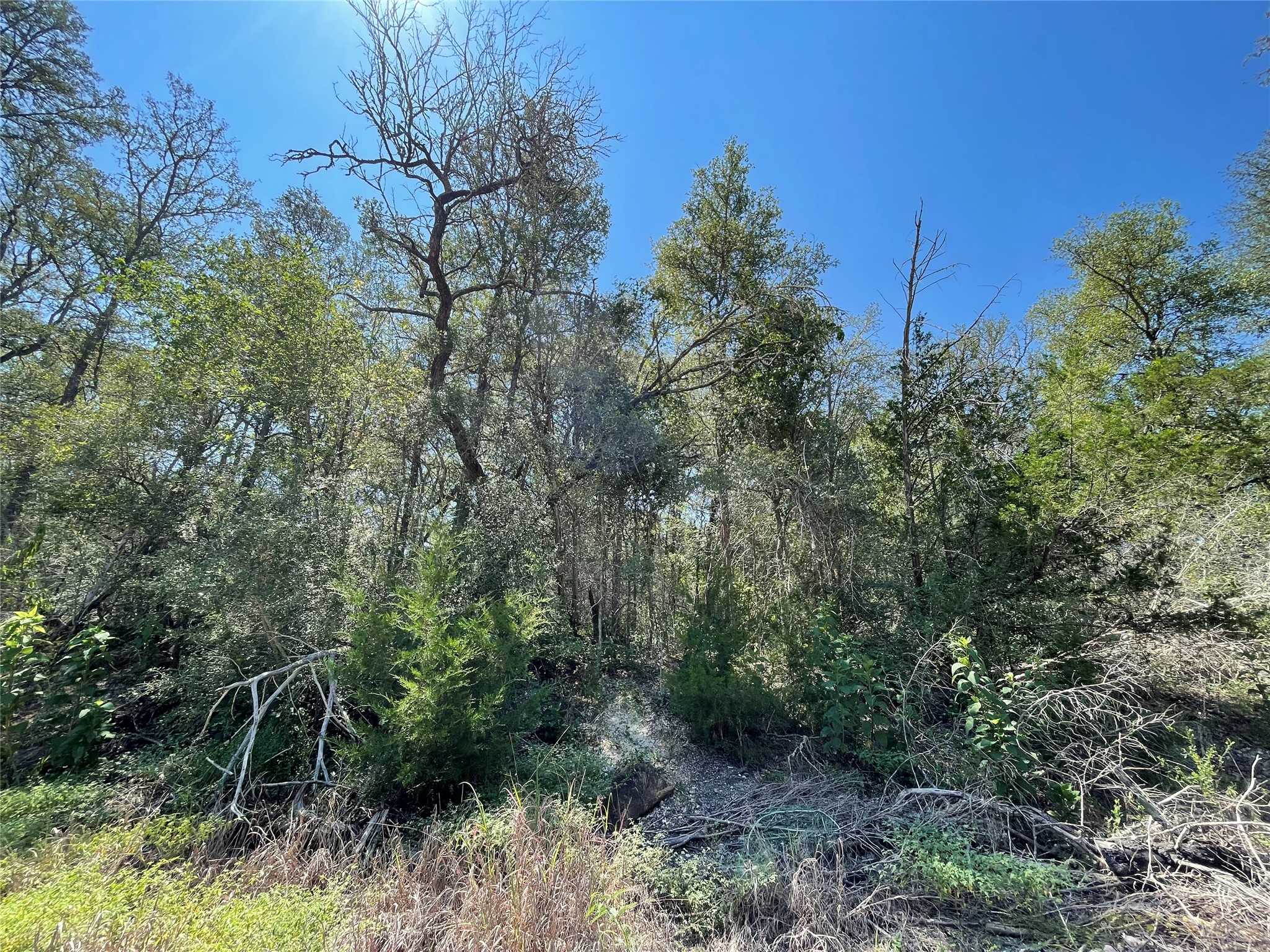 main property photo 6